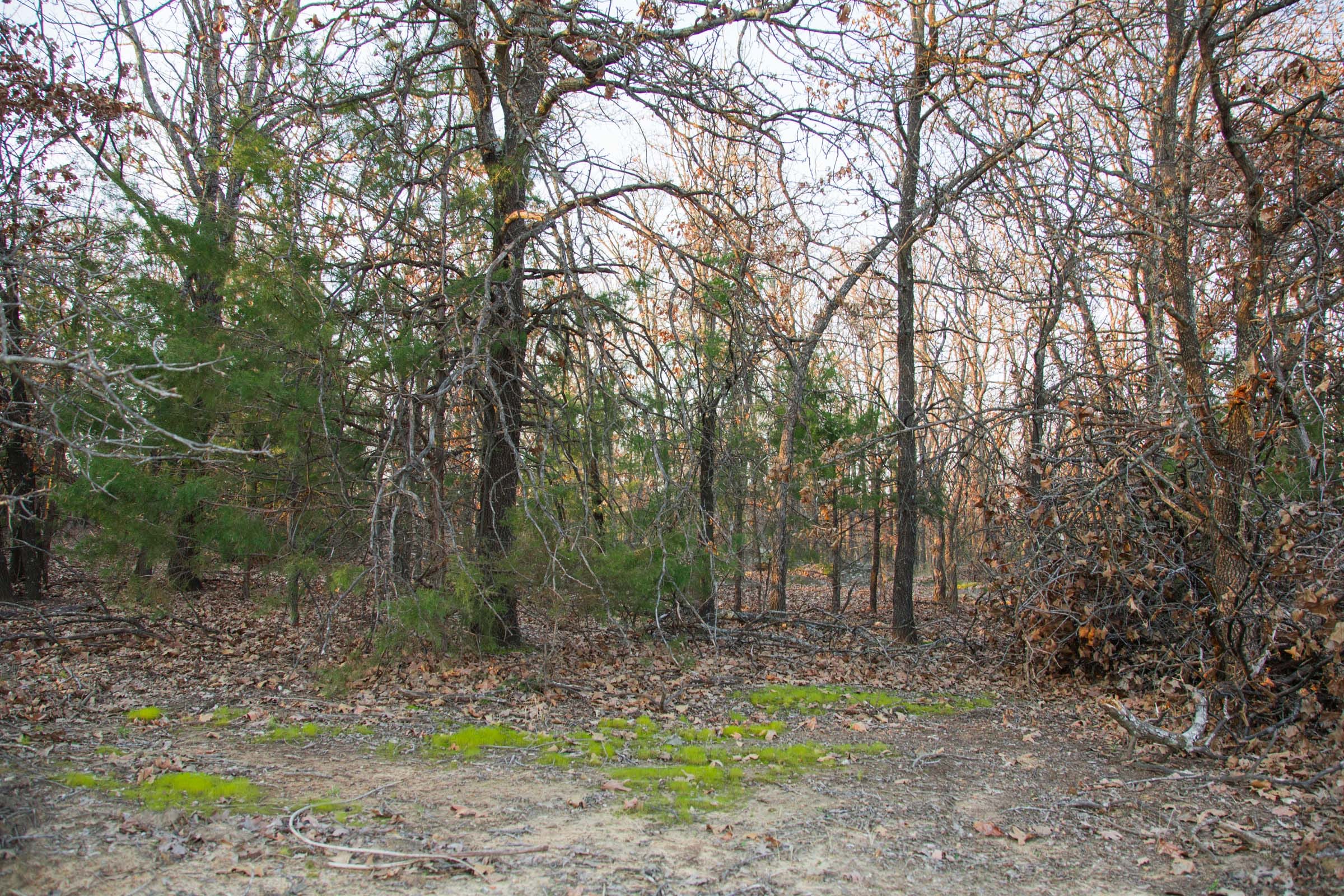 Eufaula Cove Tract 13 photo 15