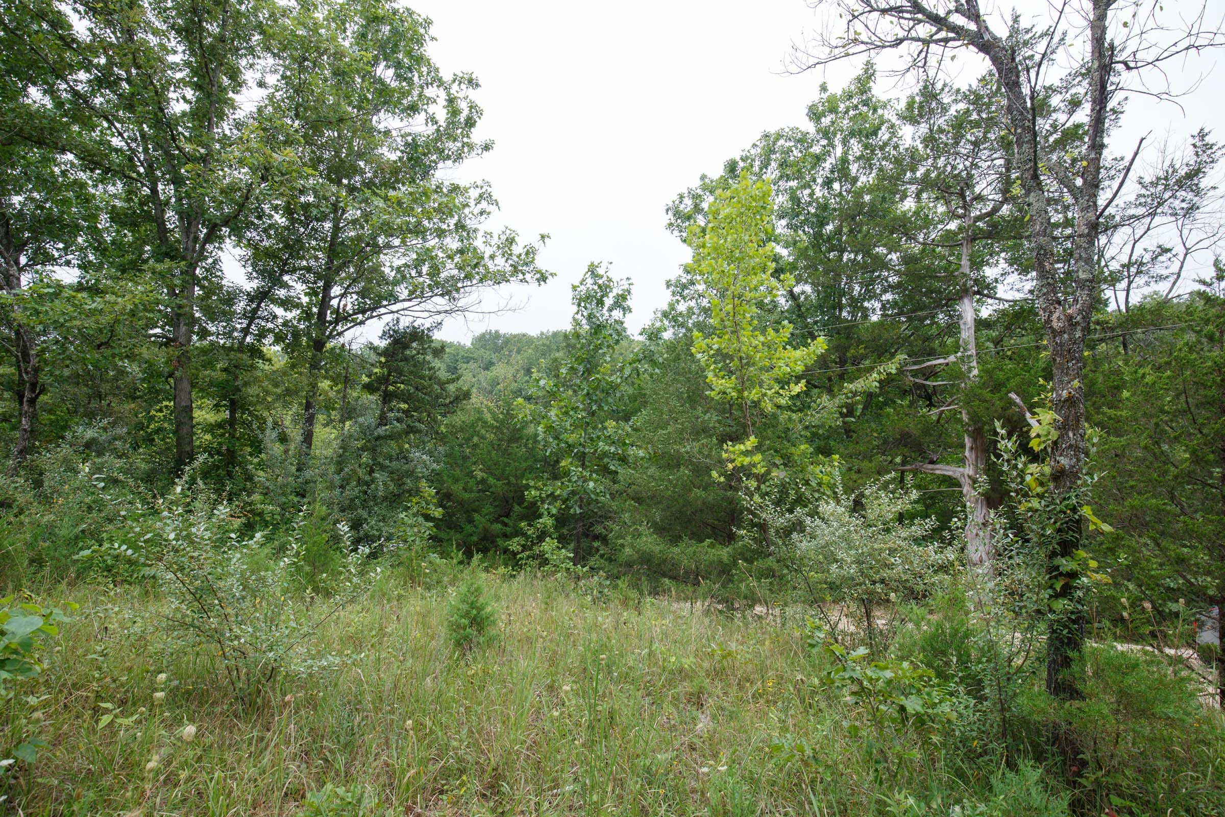 Spring Lake Plat 5 Tract 176 photo 7