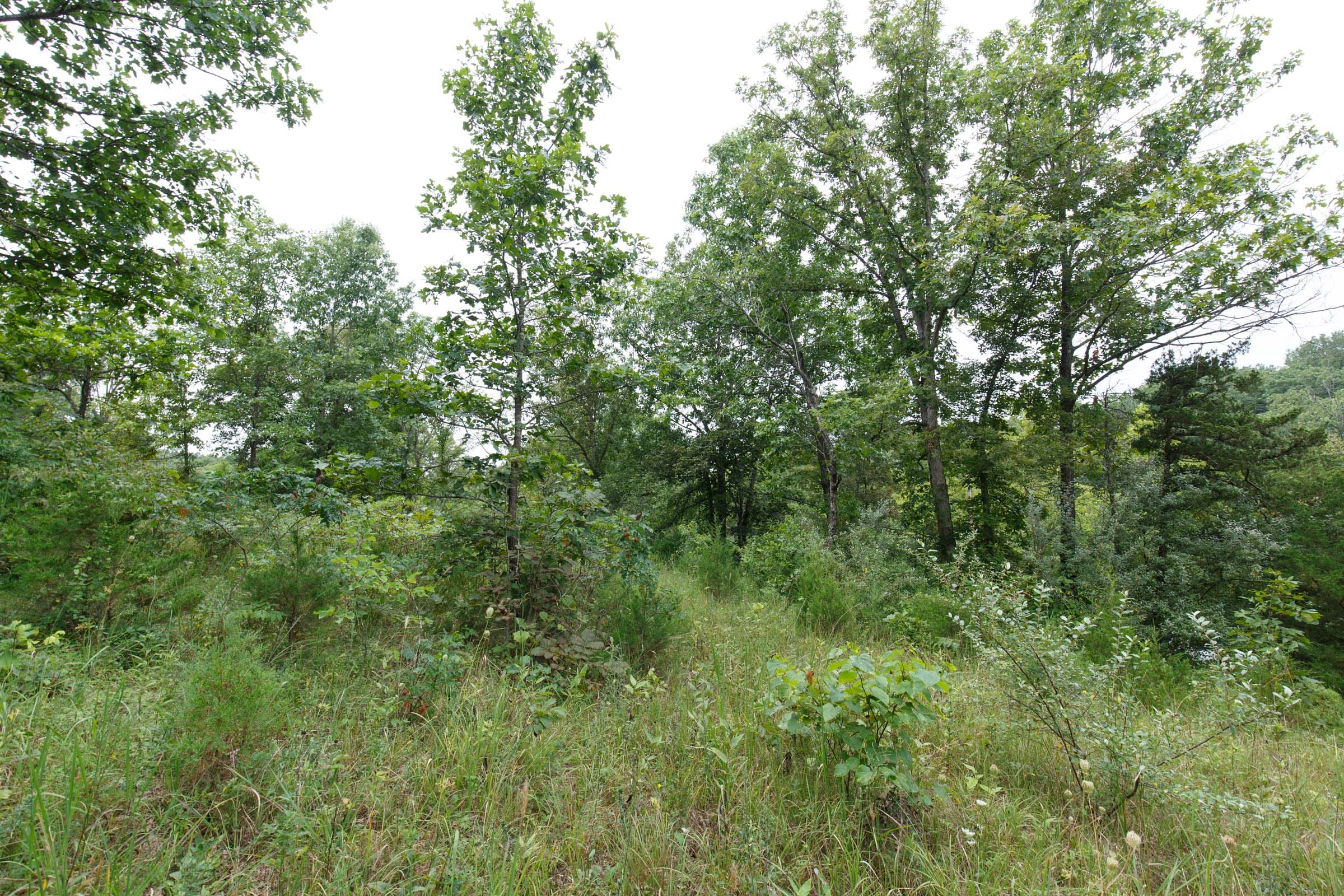 Spring Lake Plat 5 Tract 176 photo 6