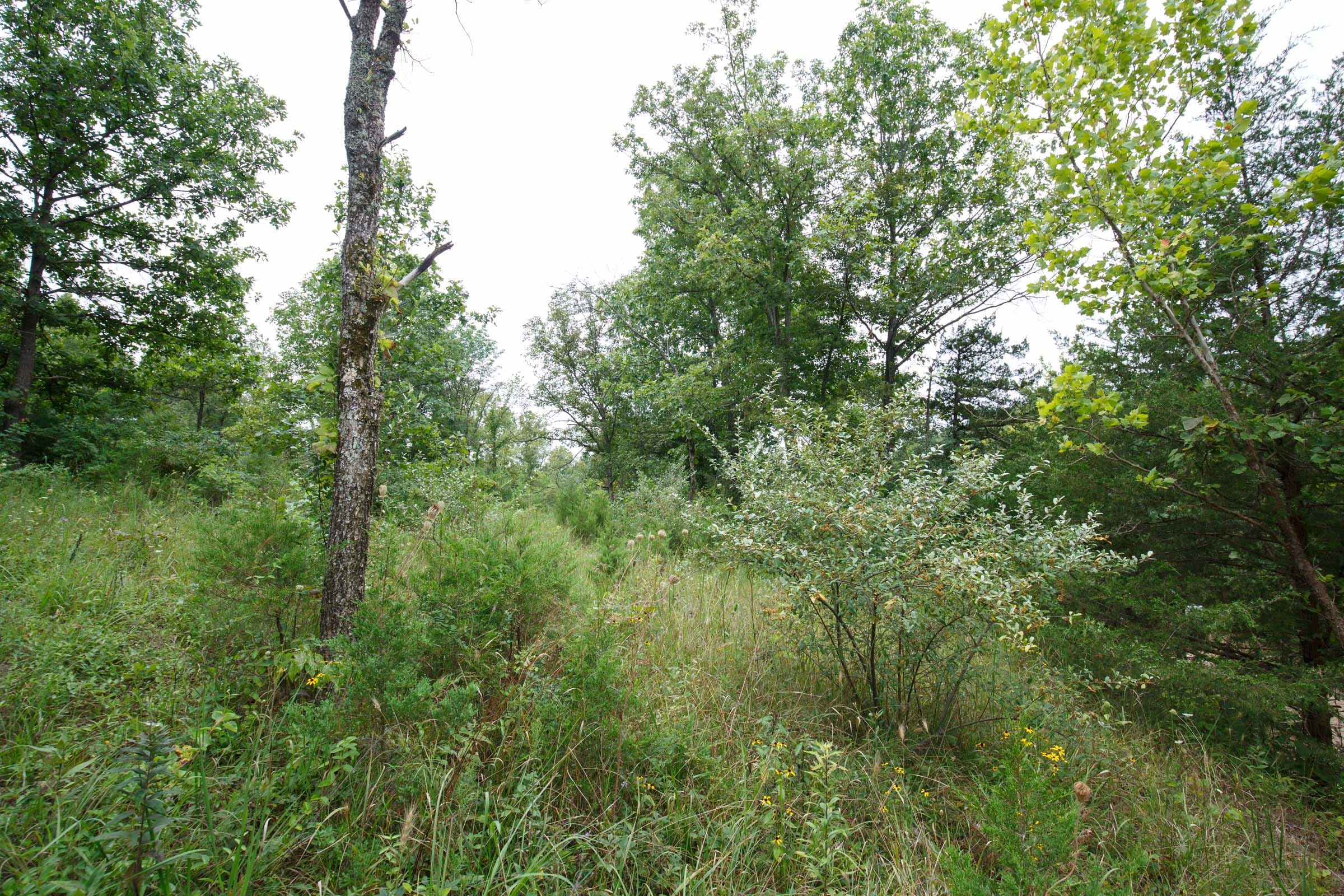 Spring Lake Plat 5 Tract 176 photo 2