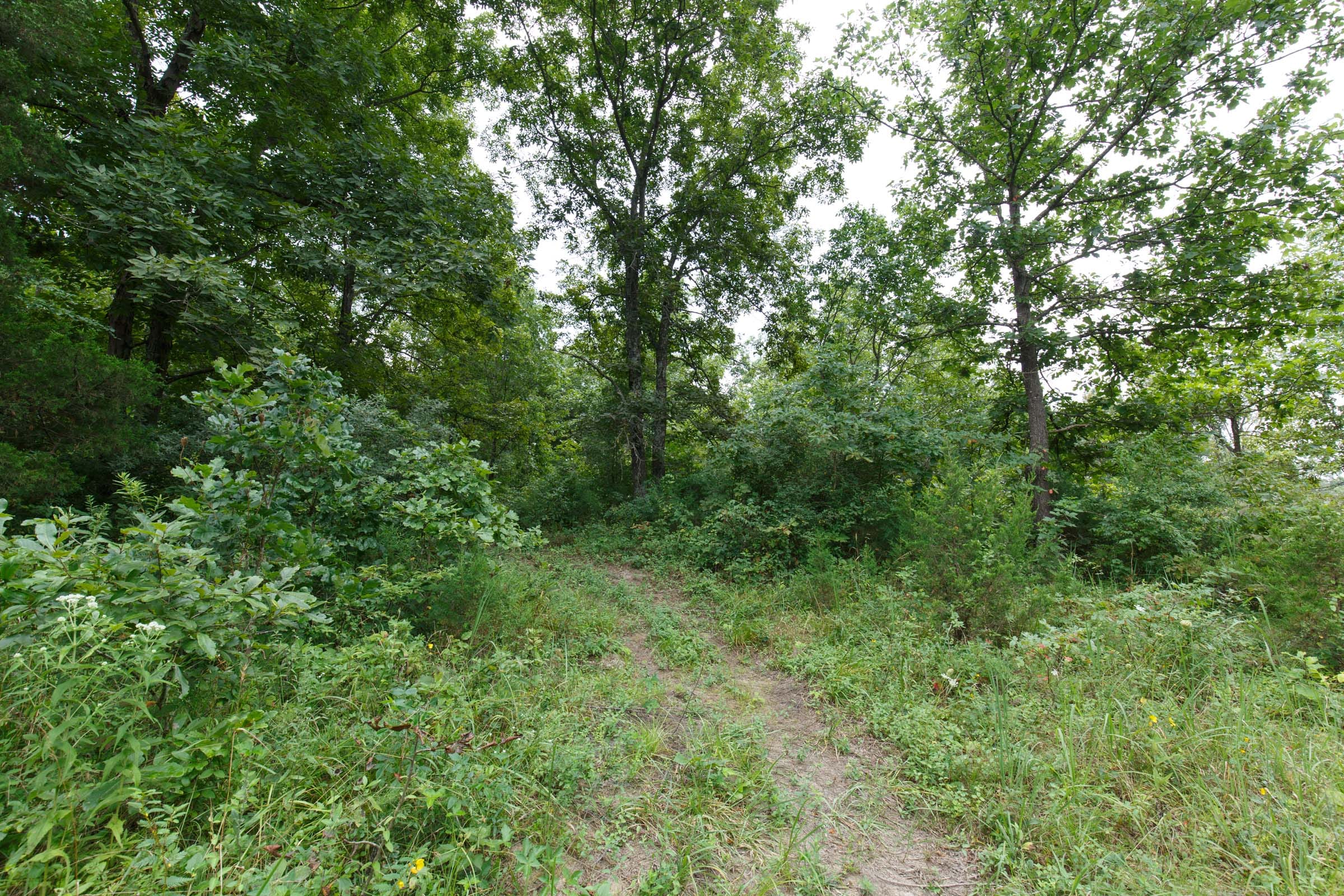 Spring Lake Plat 5 Tract 176 photo 5