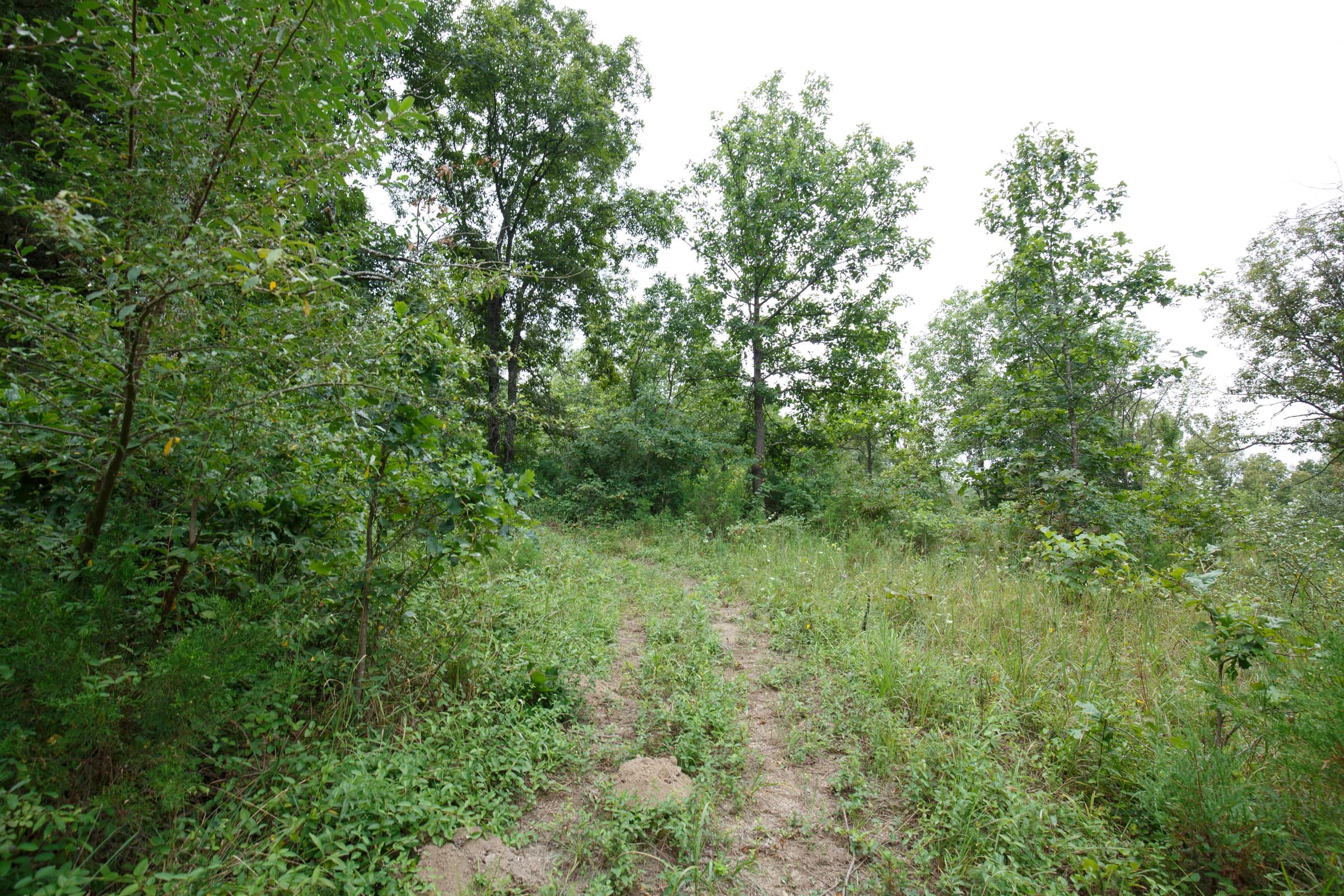 Spring Lake Plat 5 Tract 176 photo 3