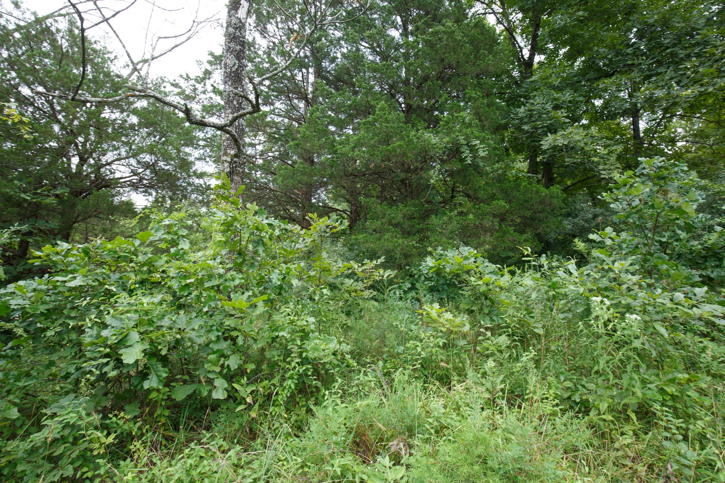 Spring Lake Plat 5 Tract 176 photo 4