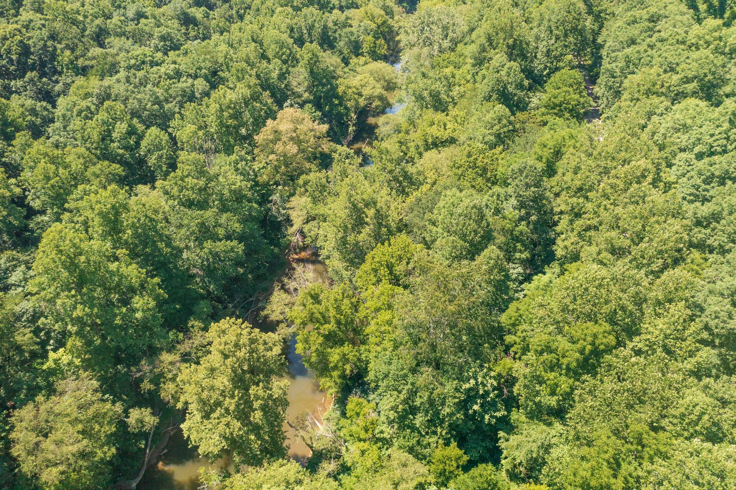 River’s Edge Tract 3 photo 2