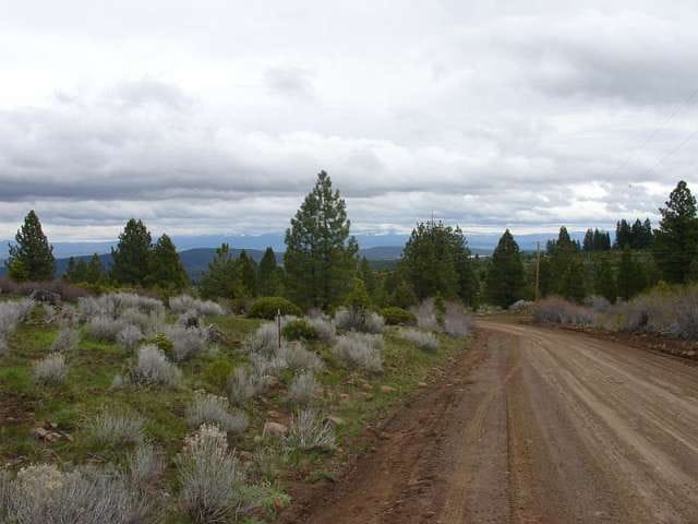 California Pines Tract 9 photo 7