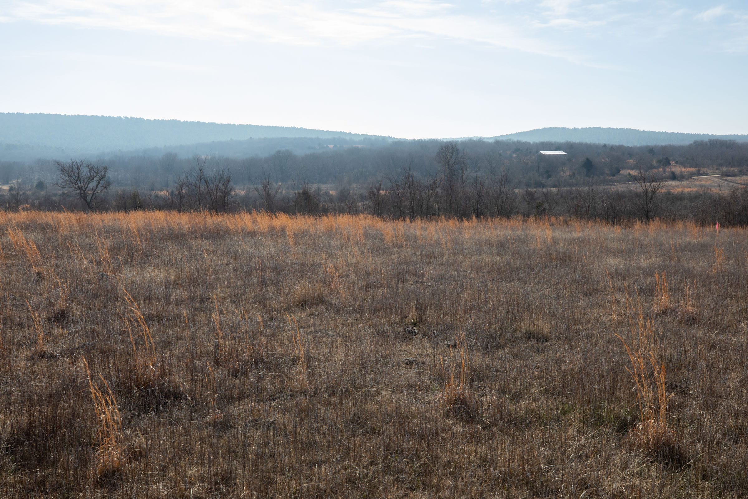 Painted Horse Tract 9 photo 6
