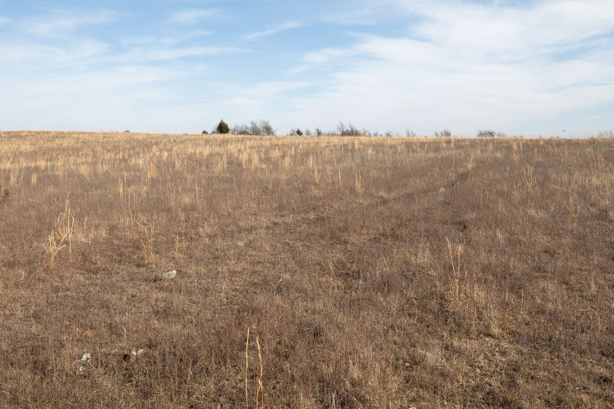 Painted Horse Tract 9 photo 8