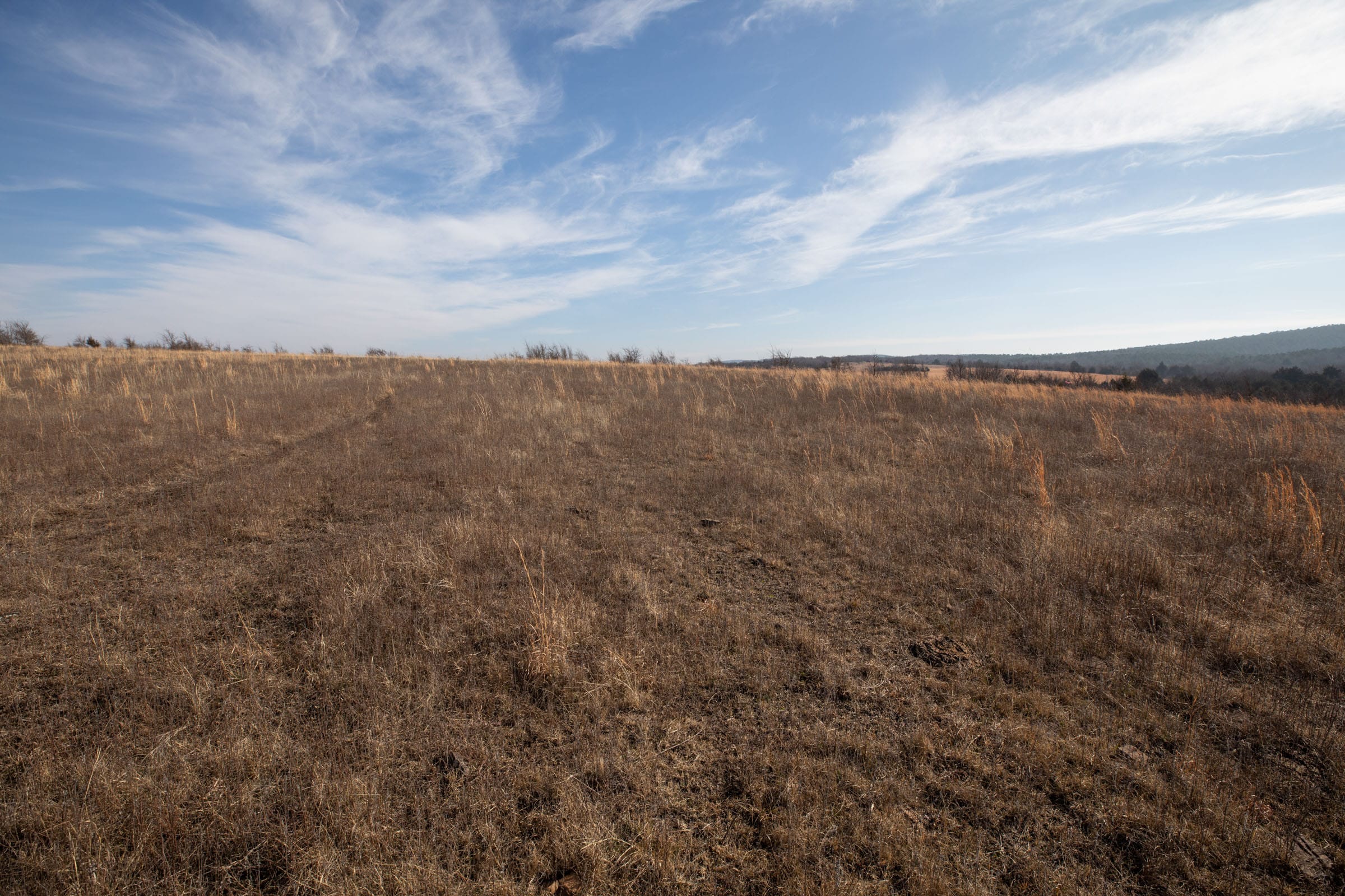 Painted Horse Tract 9 photo 9