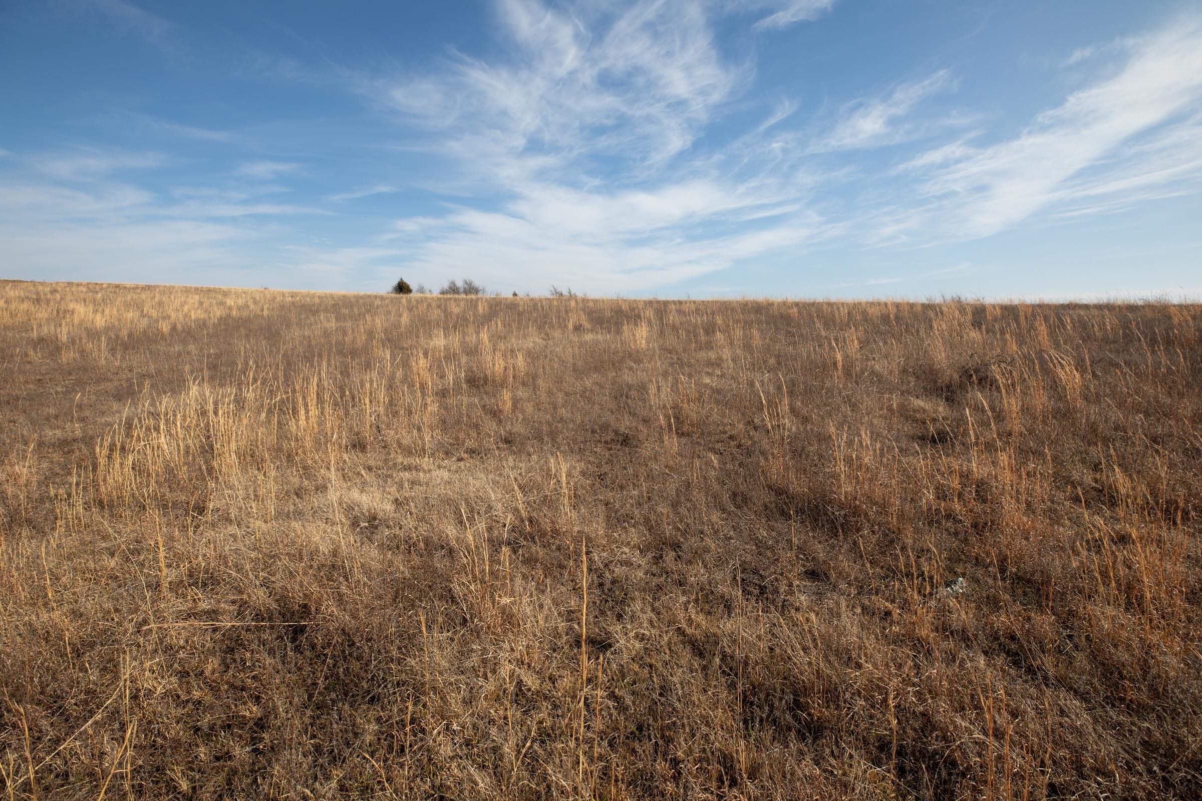 Painted Horse Tract 9 photo 11