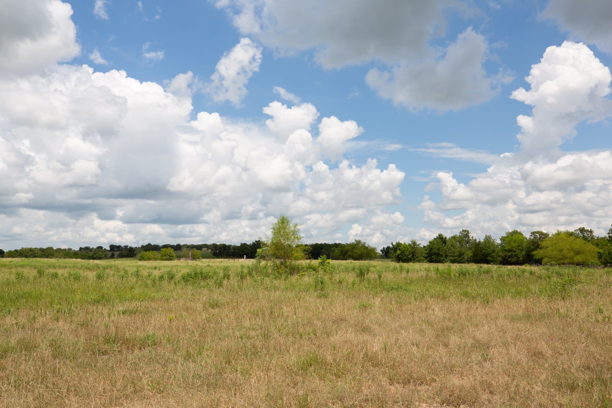 Paradise Valley Tract 5 photo 4