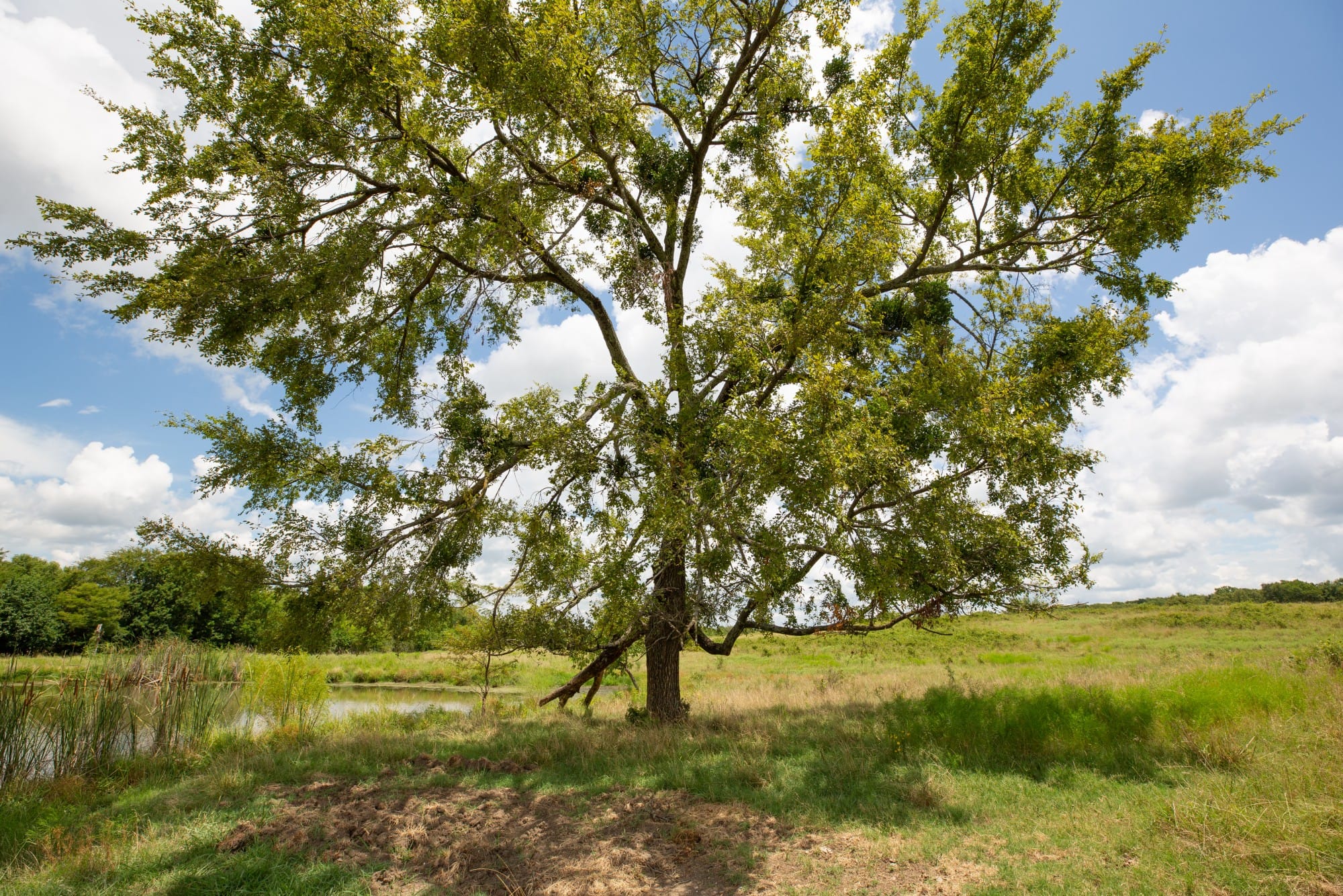 Paradise Valley Tract 5 photo 3