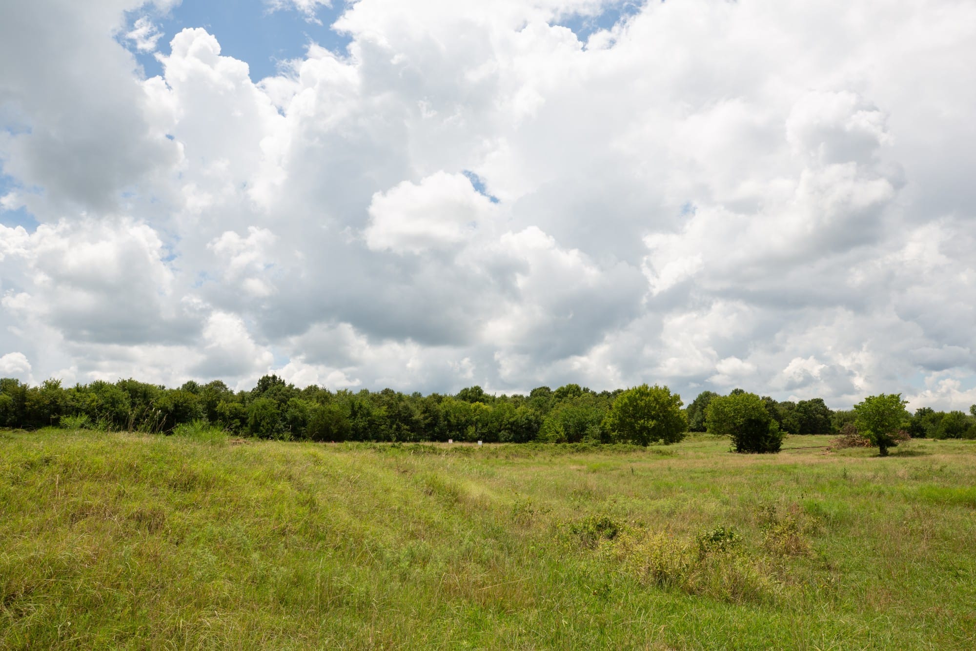 Paradise Valley Tract 5 photo 11