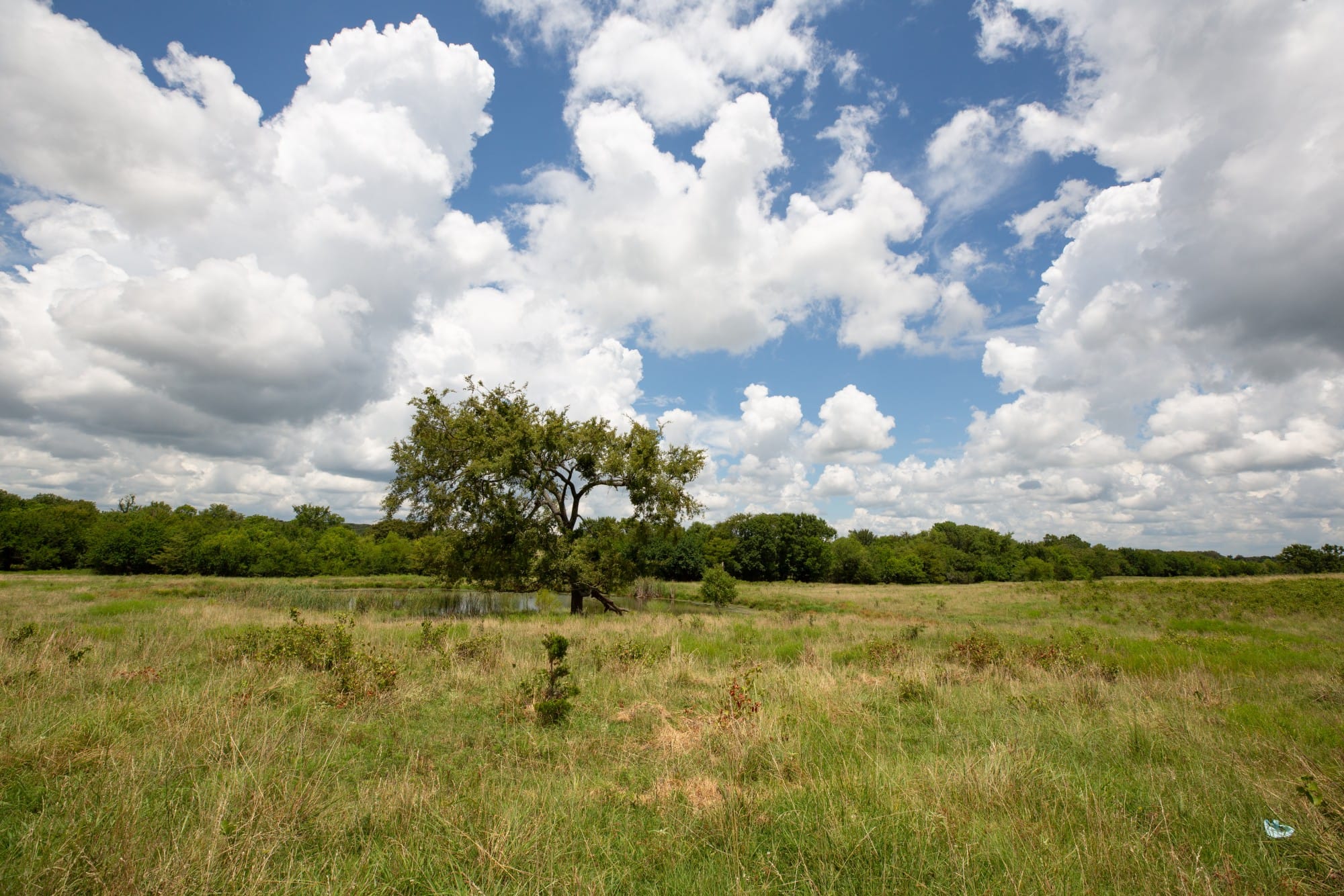 Paradise Valley Tract 5 photo 12
