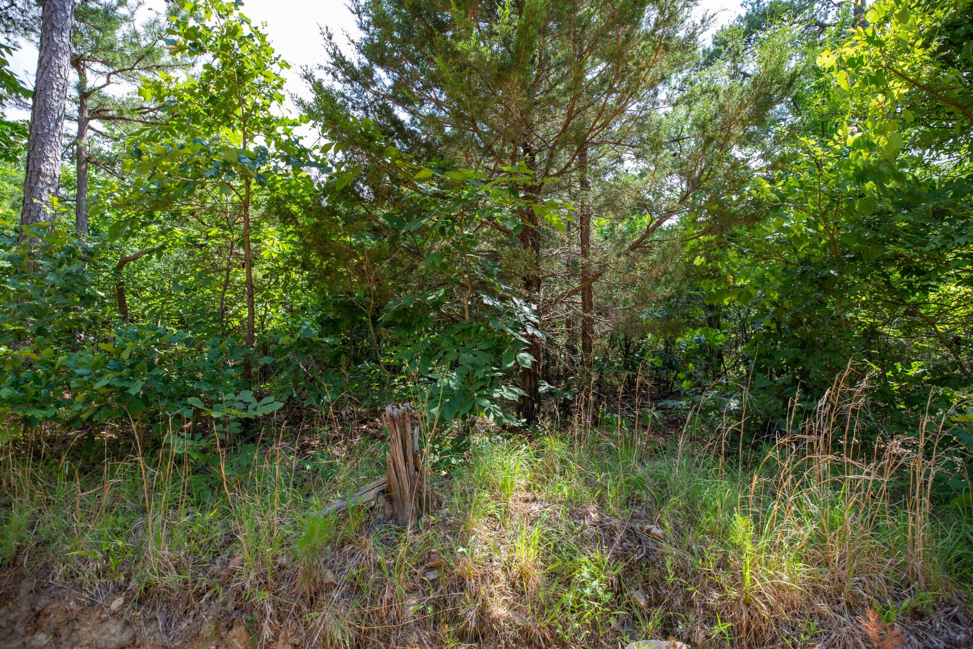 Eagle’s Nest Tract 47 photo 2