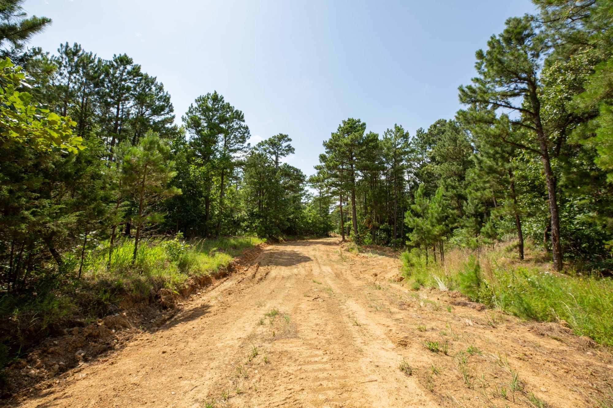 Eagle’s Nest Tract 47 photo 1