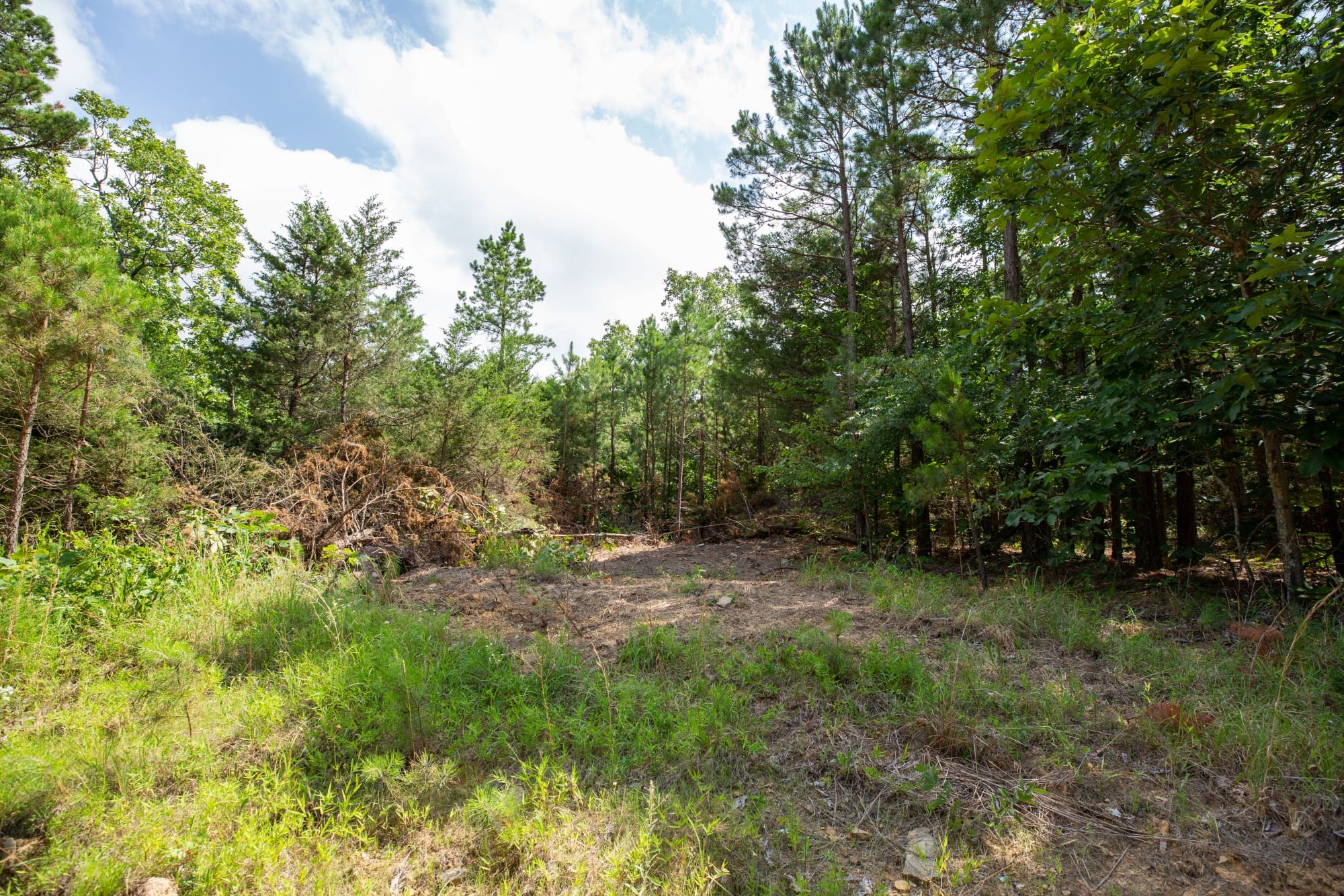Eagle’s Nest Tract 47 photo 4