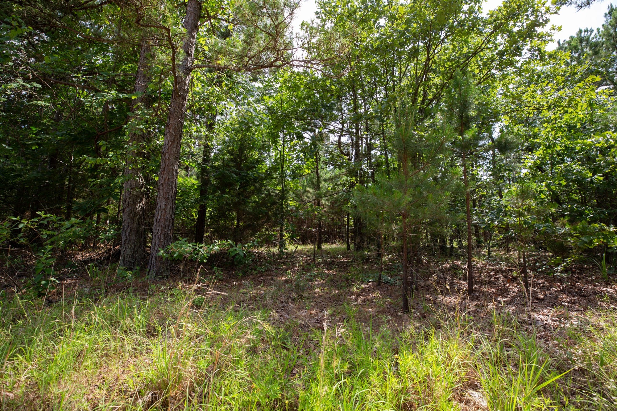 Eagle’s Nest Tract 47 photo 5