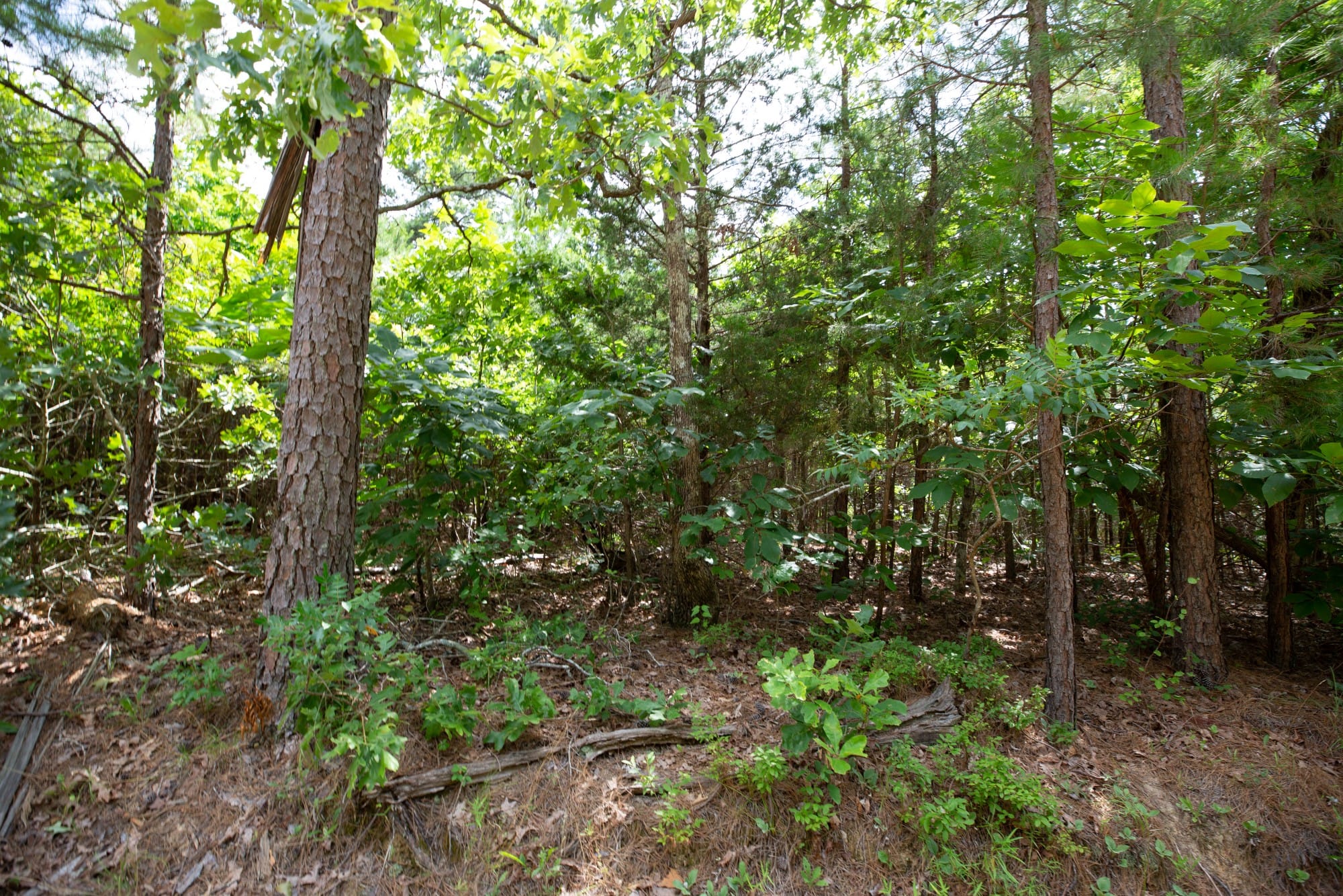 Eagle’s Nest Tract 47 photo 8
