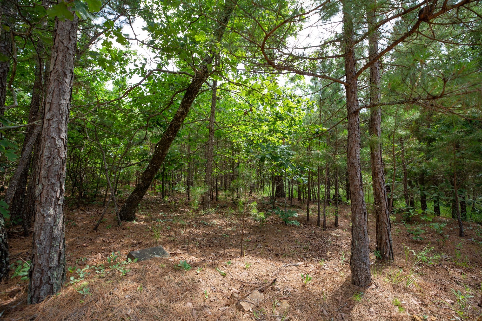 Eagle’s Nest Tract 47 photo 10