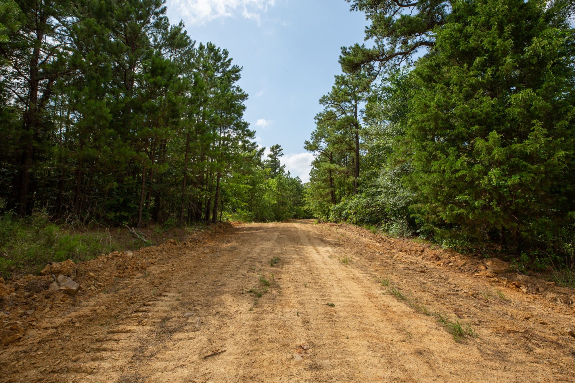 Eagle’s Nest Tract 47 photo 7