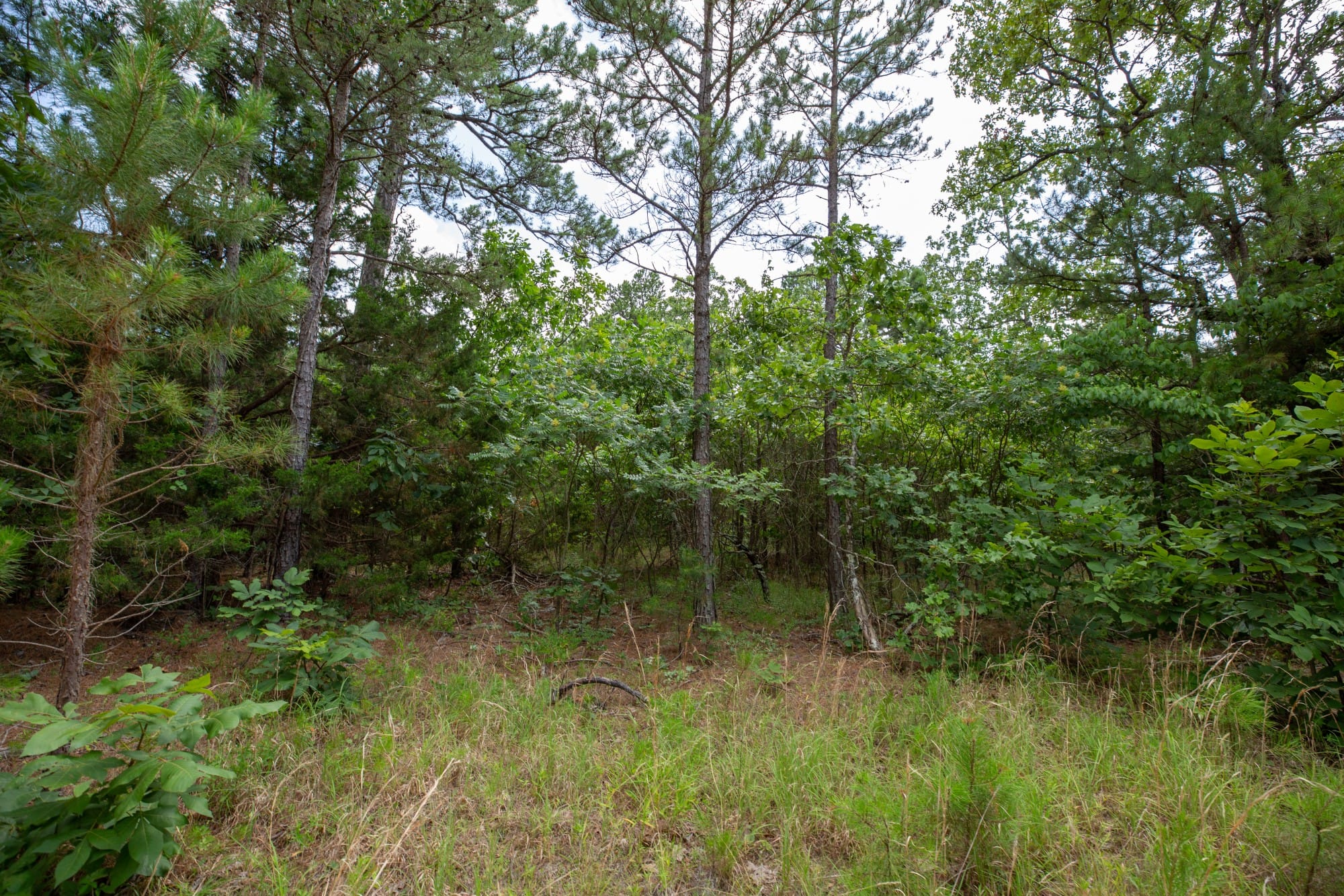 Eagle’s Nest Tract 47 photo 12