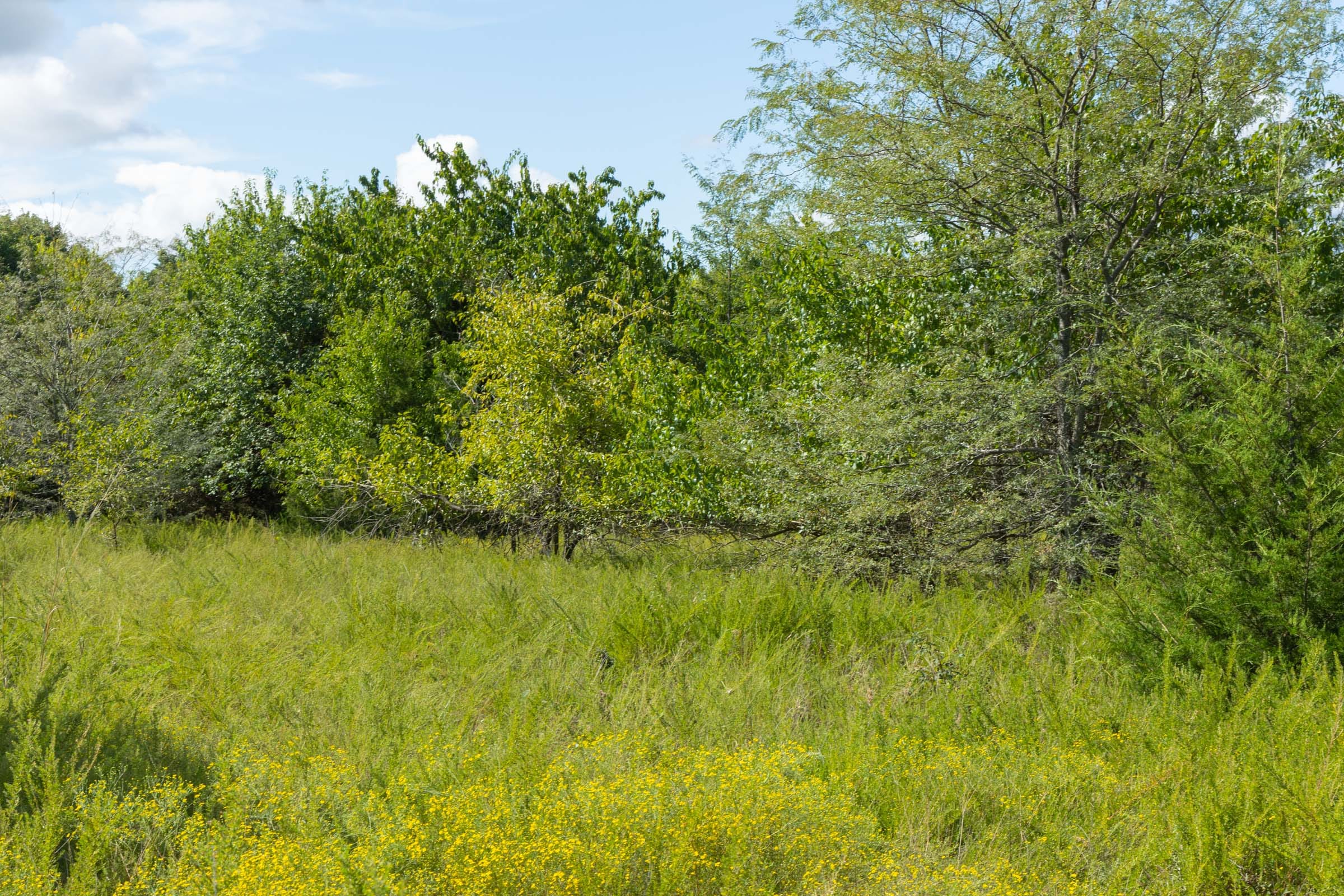 Reserves At Cattail Cove Phase II Tract 42 photo 9