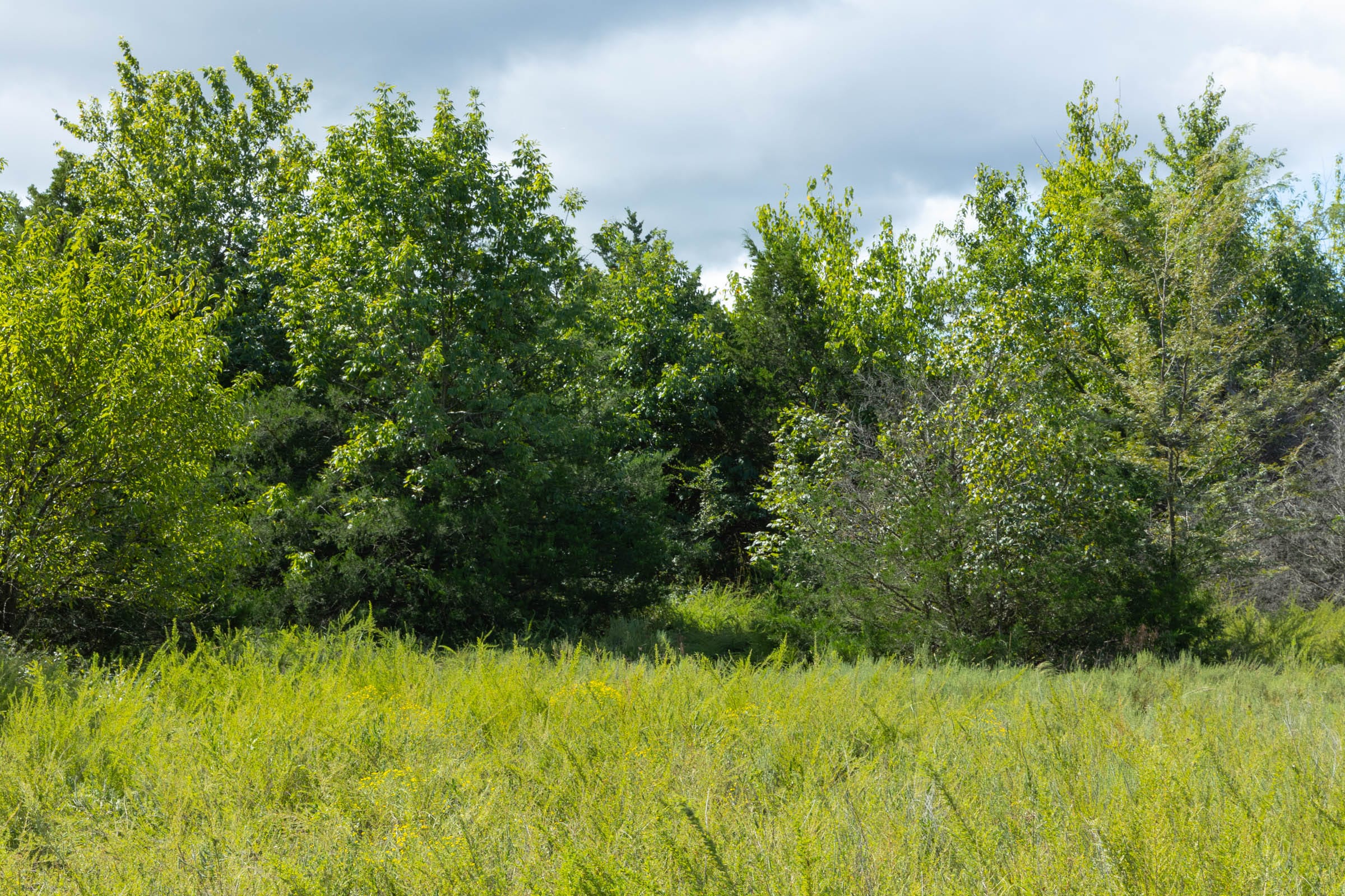 Reserves At Cattail Cove Phase II Tract 42 photo 6