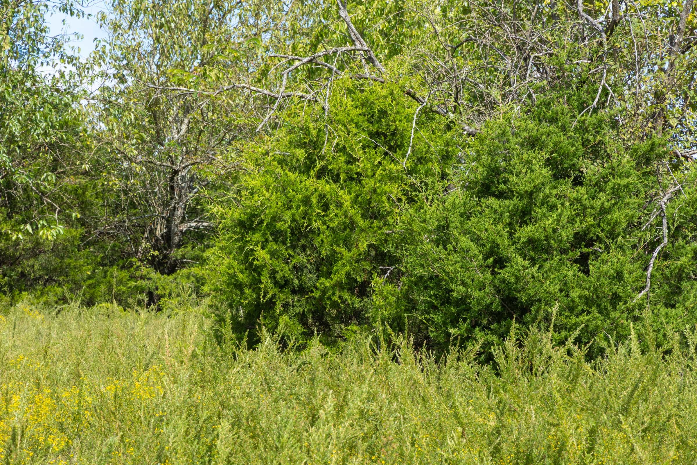 Reserves At Cattail Cove Phase II Tract 42 photo 4