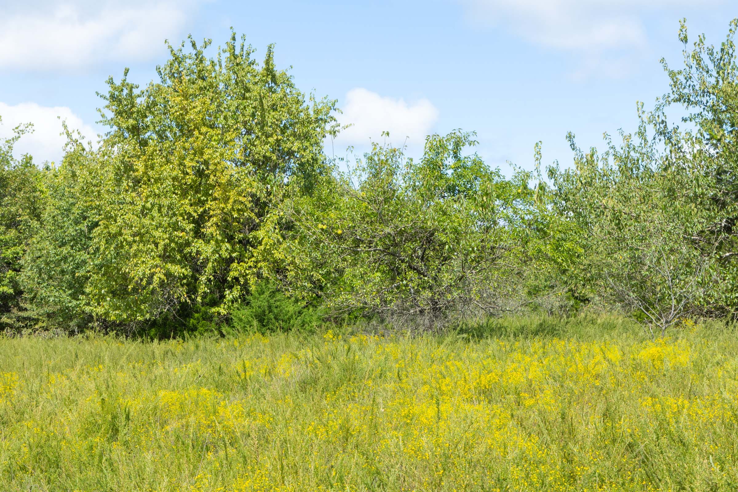 Reserves At Cattail Cove Phase II Tract 42 photo 3