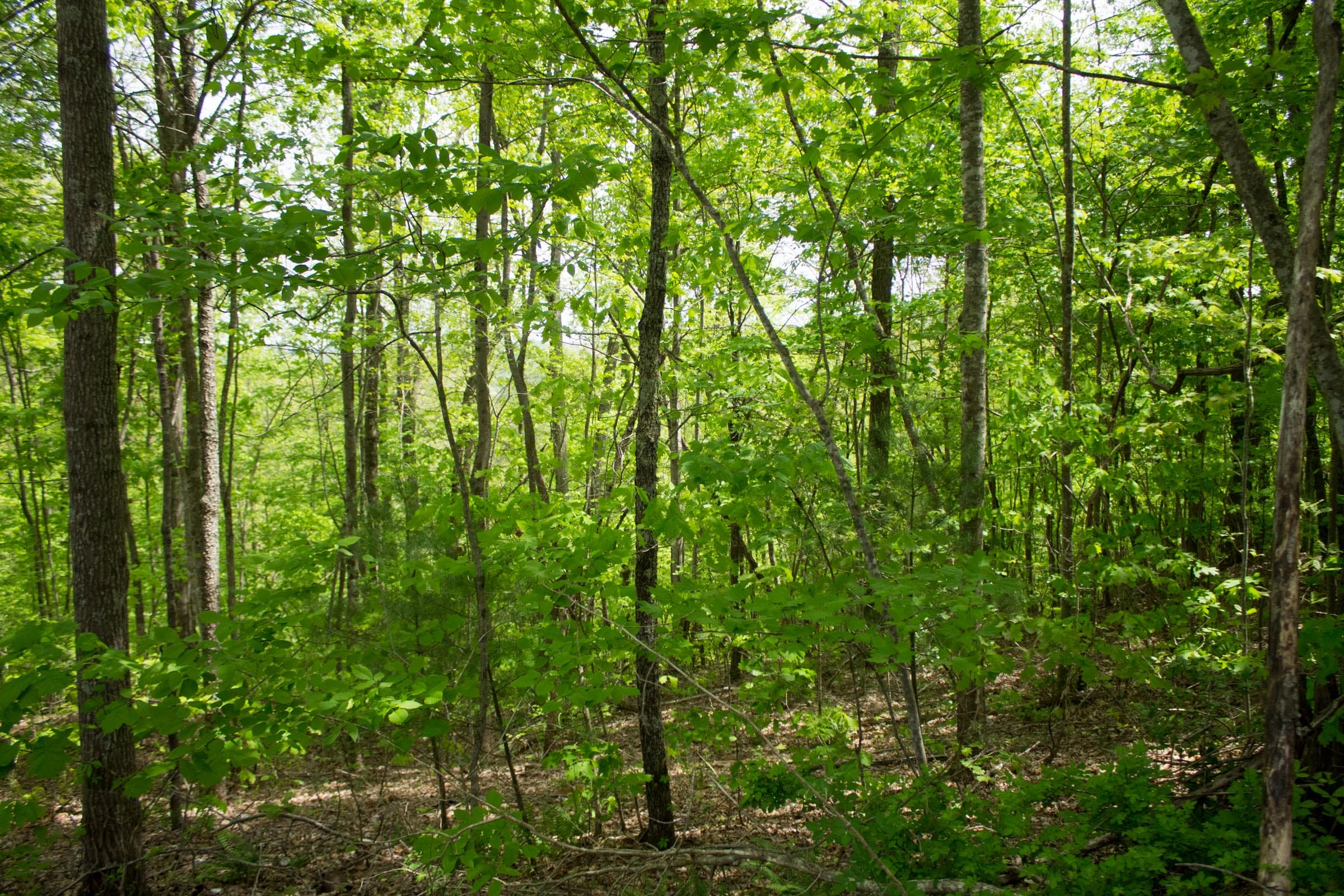 Trails End Tract 2 photo 2