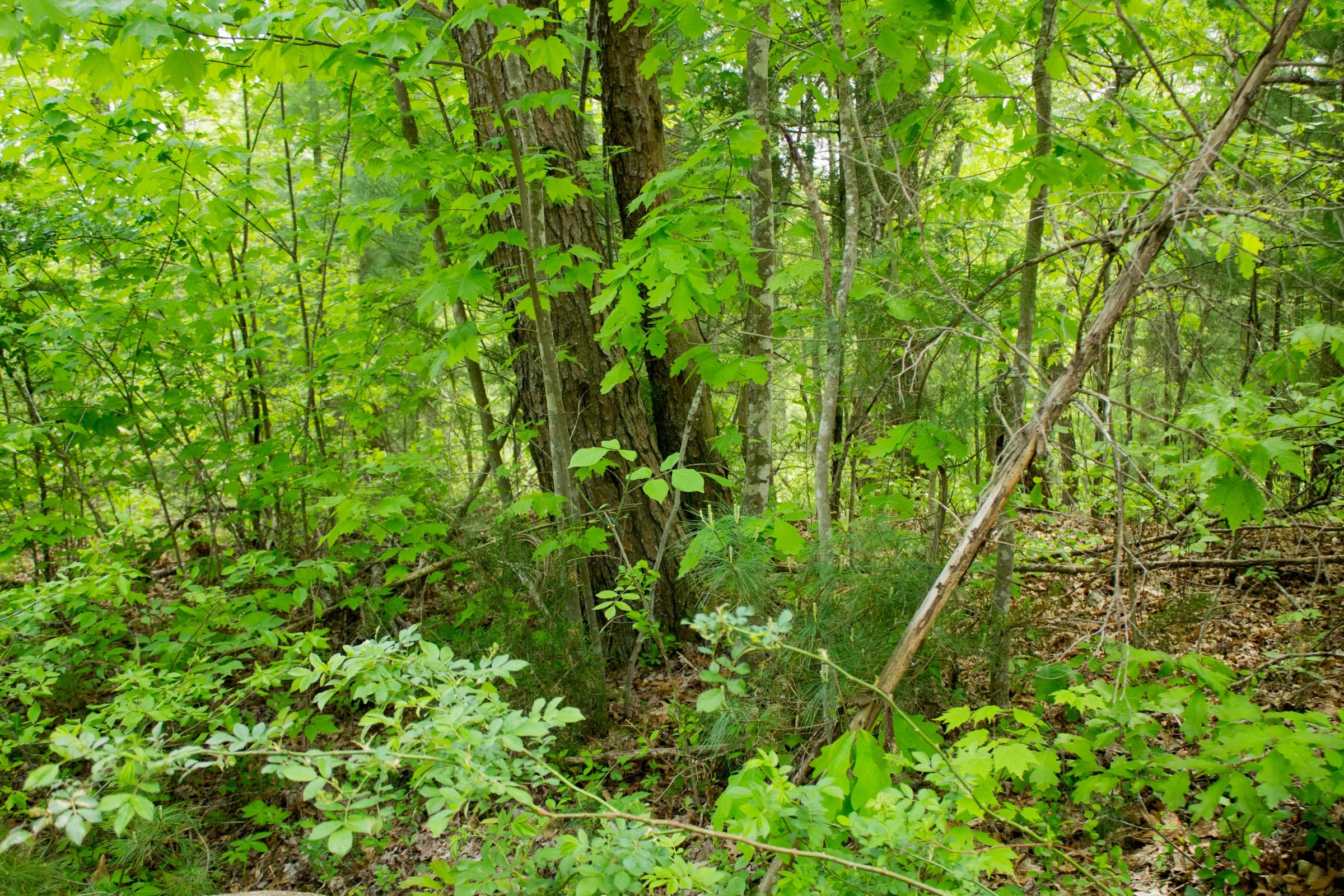 Trails End Tract 2 photo 7
