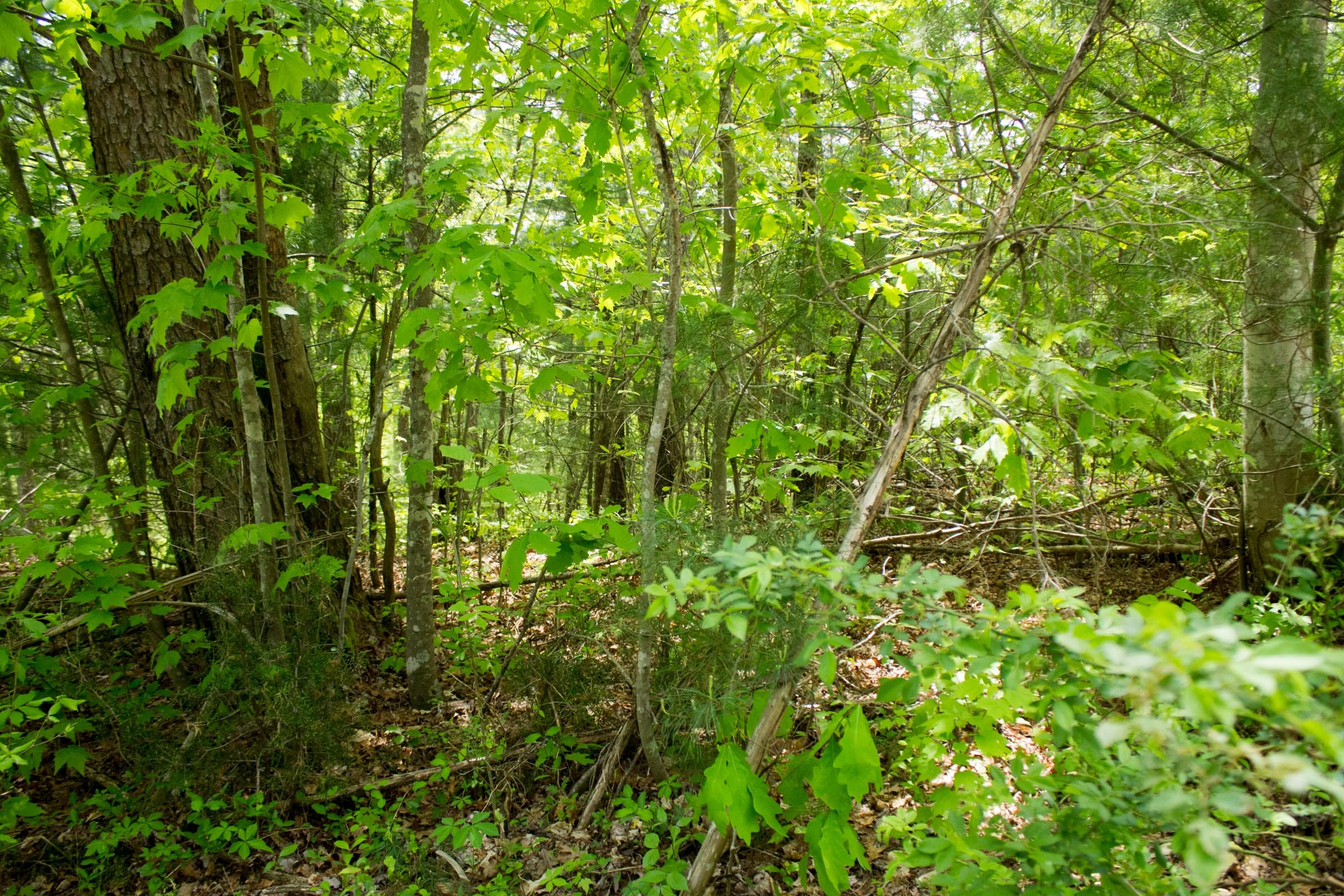 Trails End Tract 2 photo 10