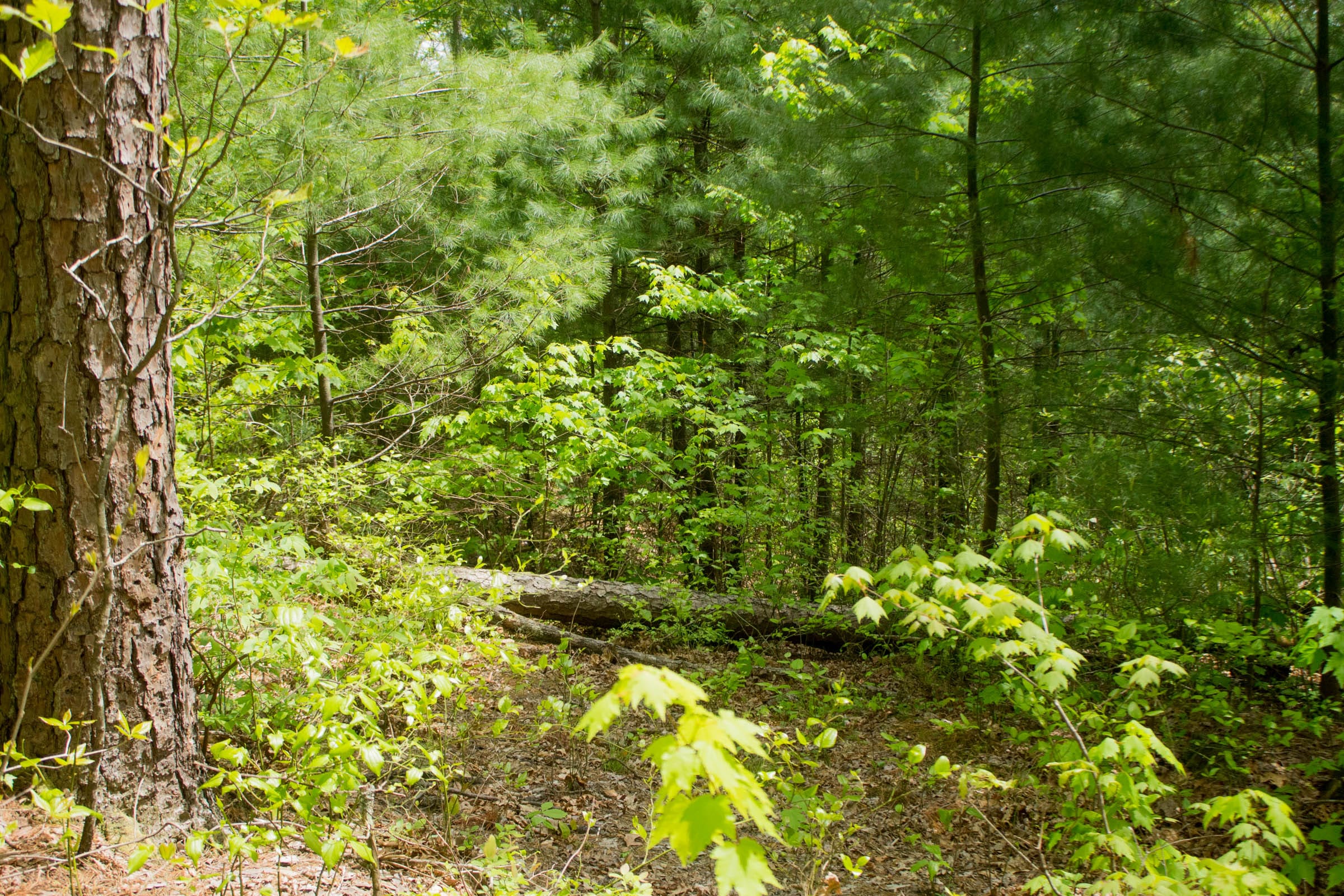 Trails End Tract 2 photo 12