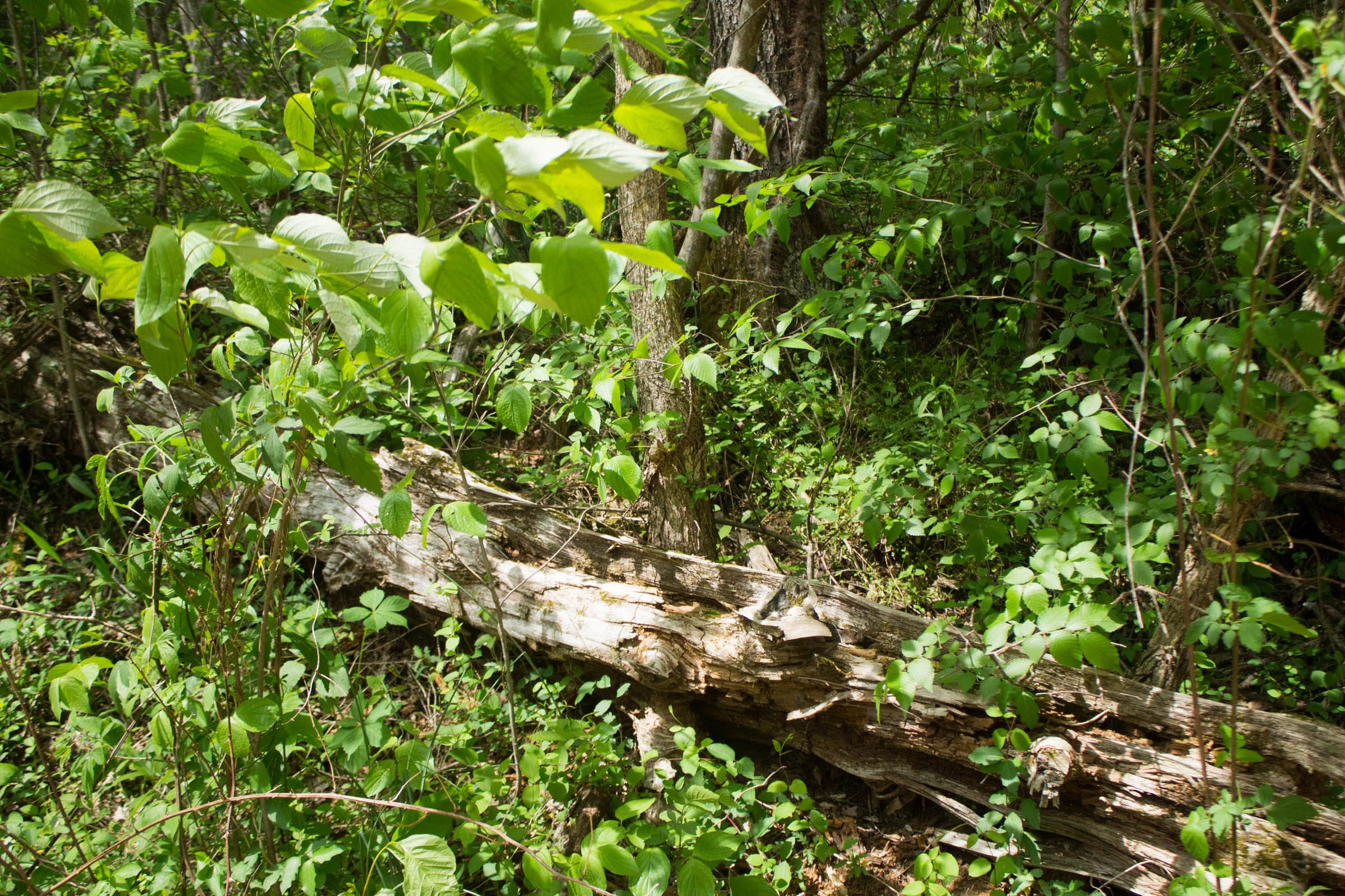 Trails End Tract 2 photo 16