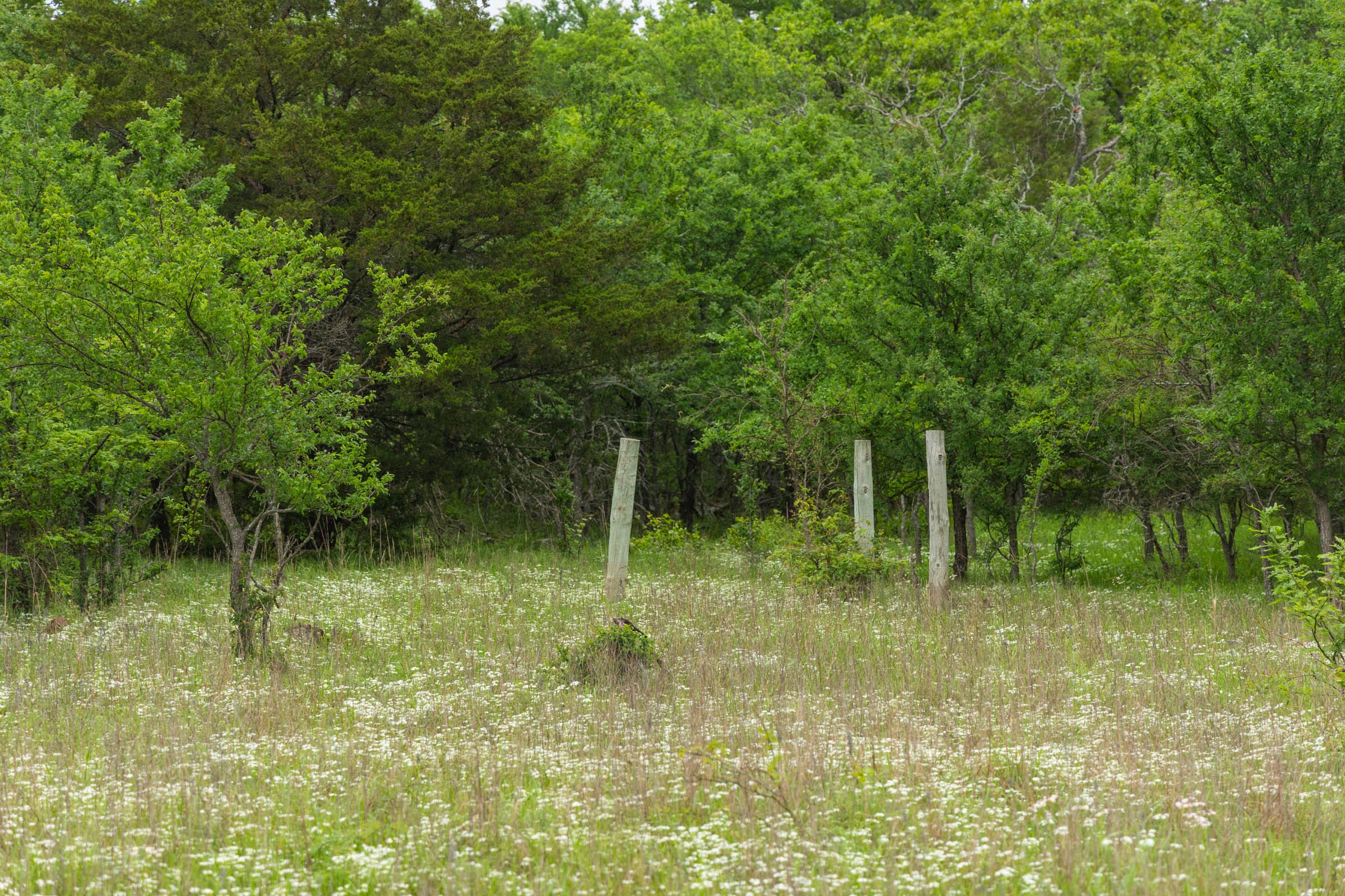 Harmony Hills Tract 8 photo 3