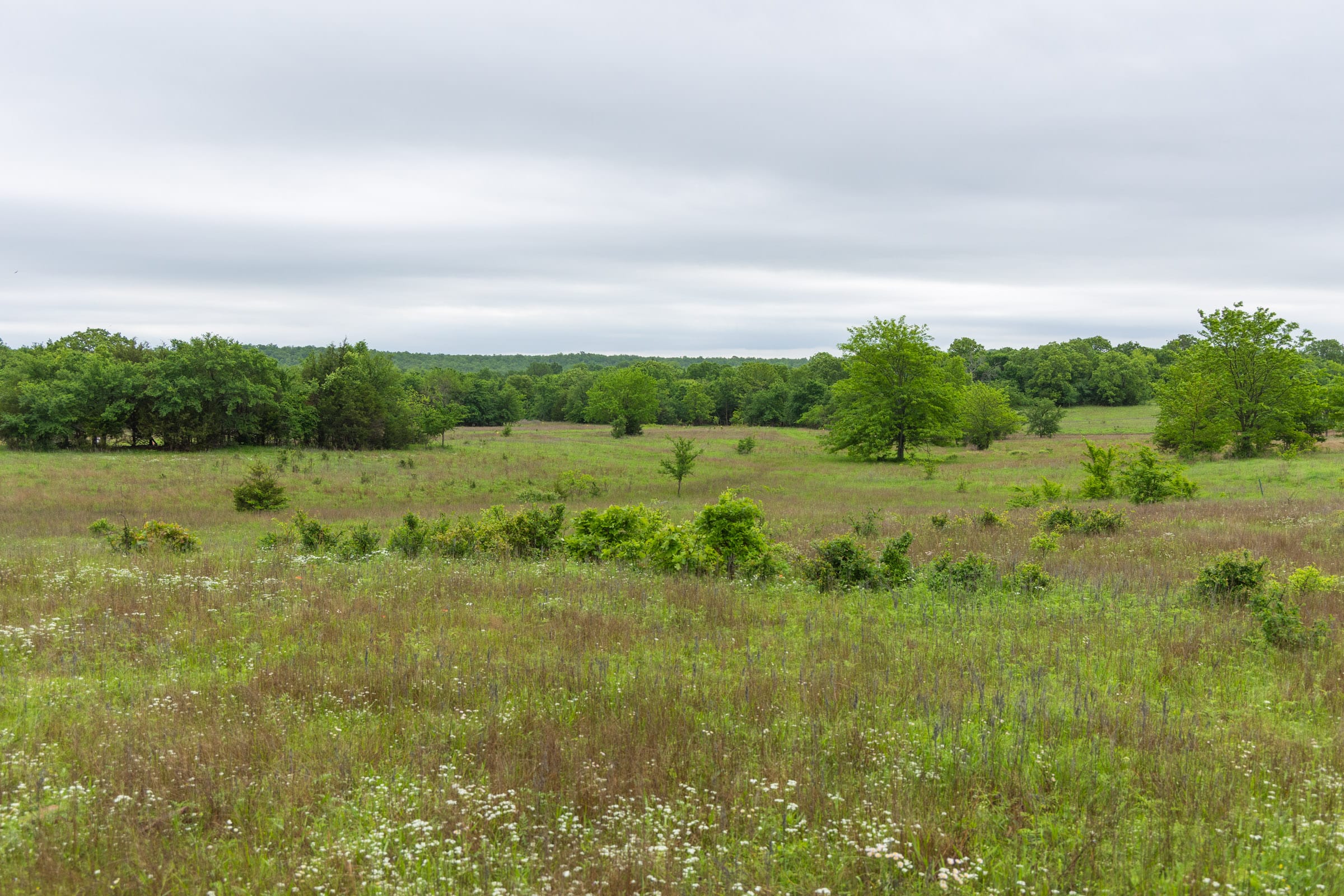 Harmony Hills Tract 8 photo 10