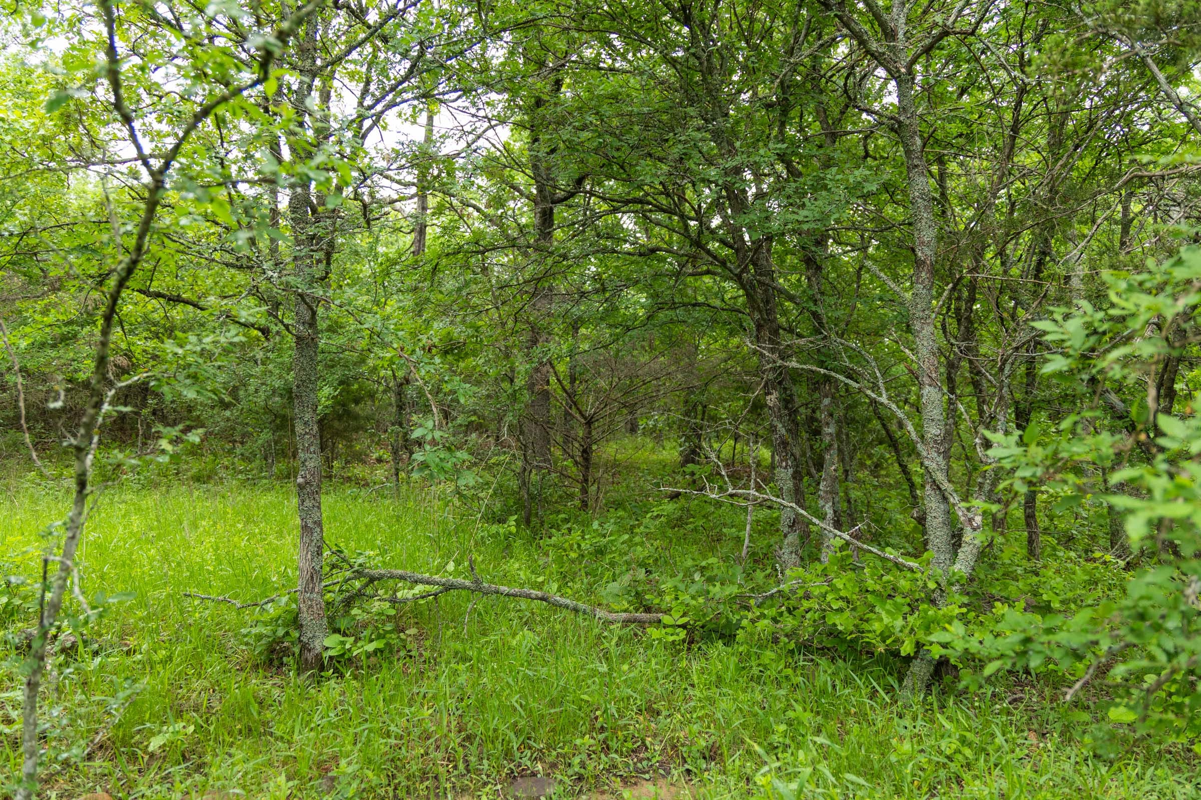 Harmony Hills Tract 8 photo 13