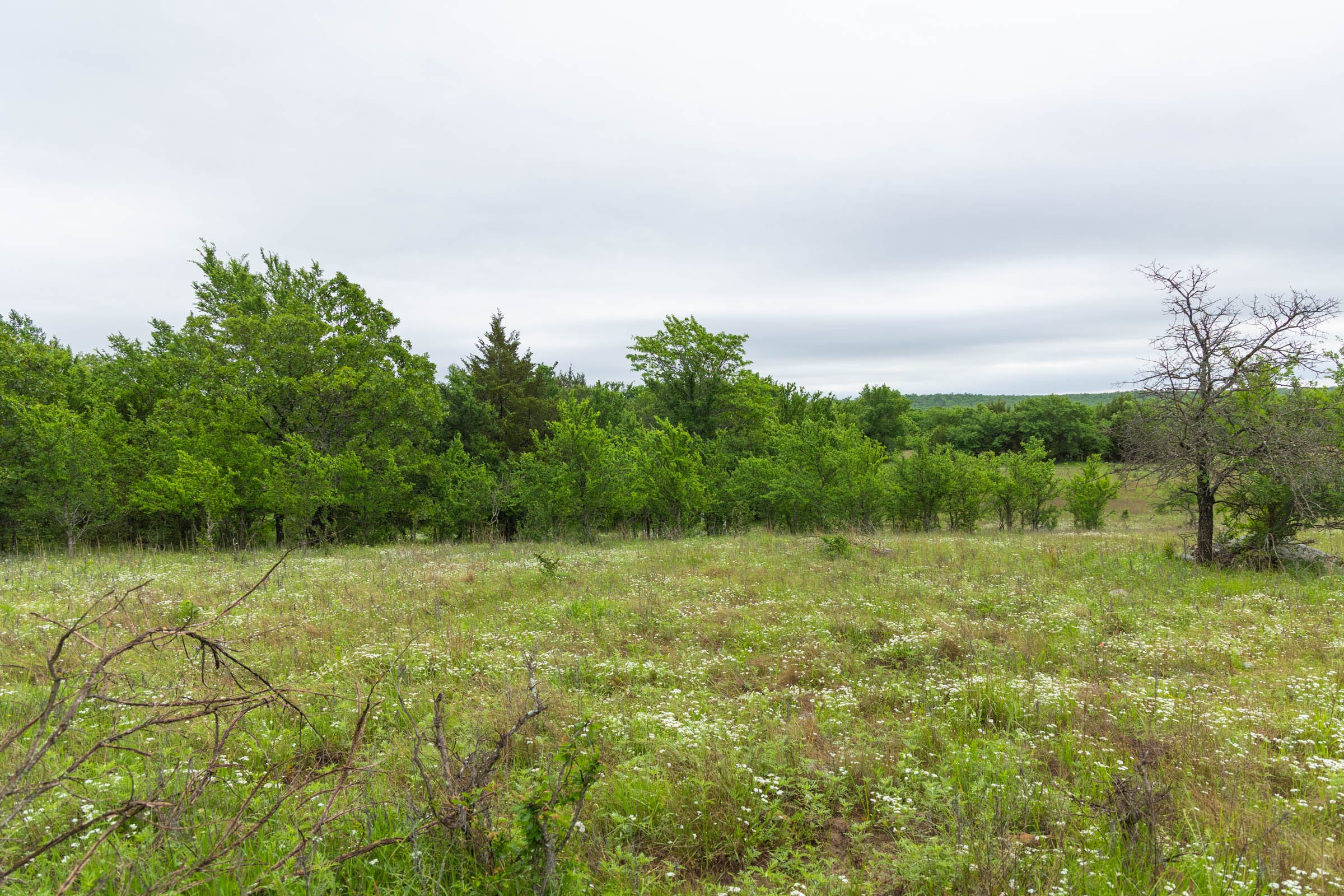 Harmony Hills Tract 8 photo 11