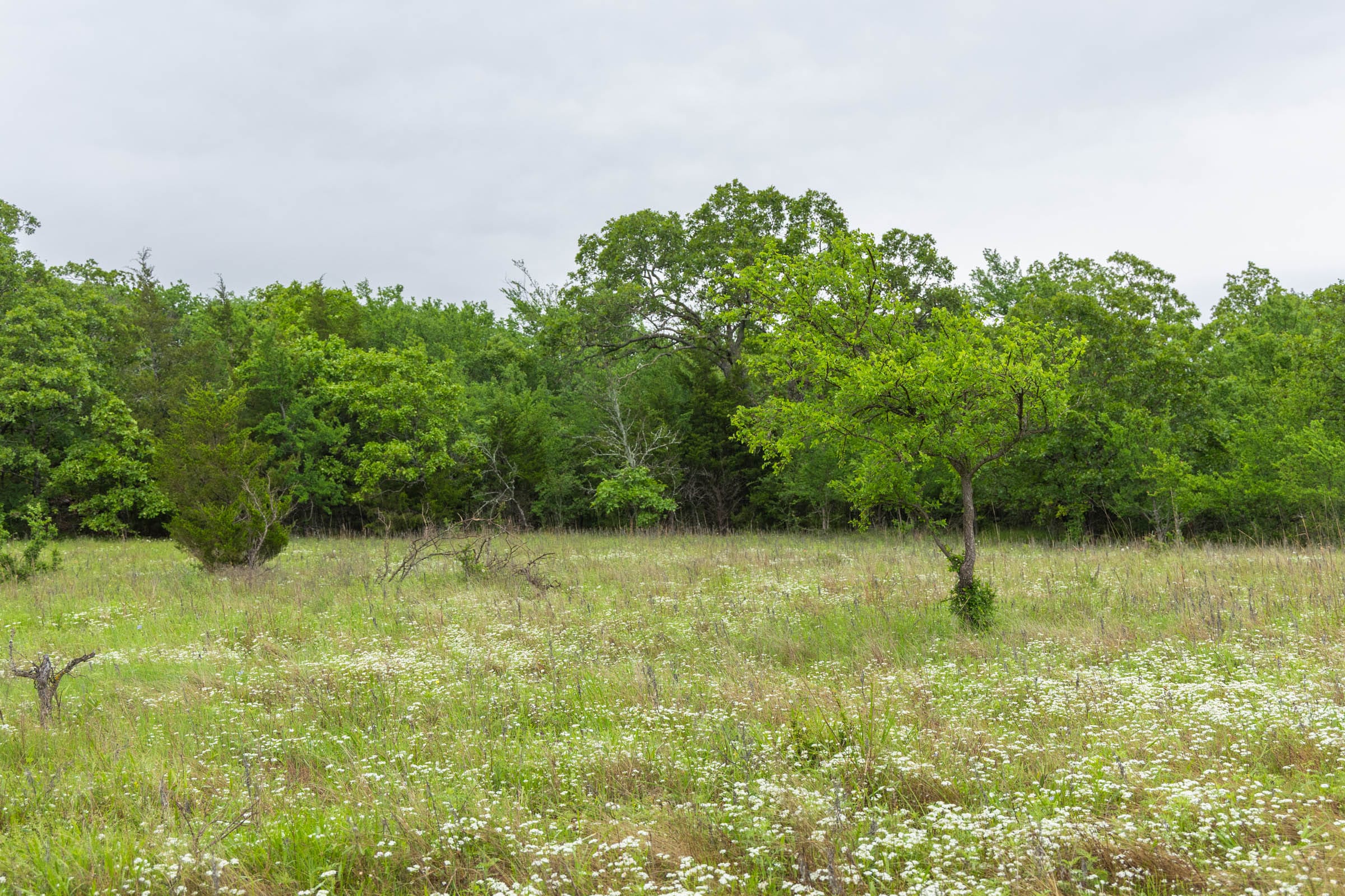Harmony Hills Tract 8 photo 14