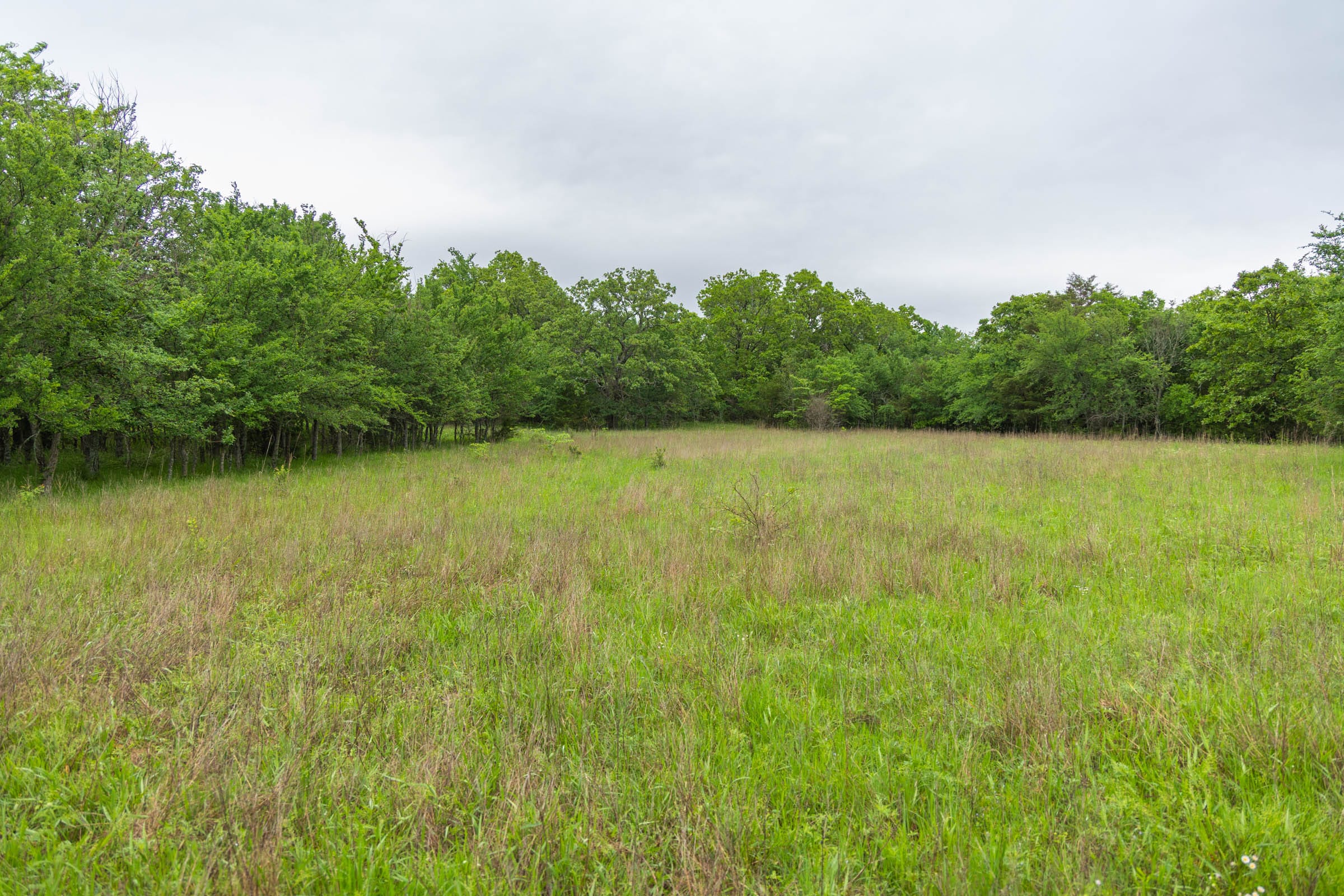 Harmony Hills Tract 8 photo 6