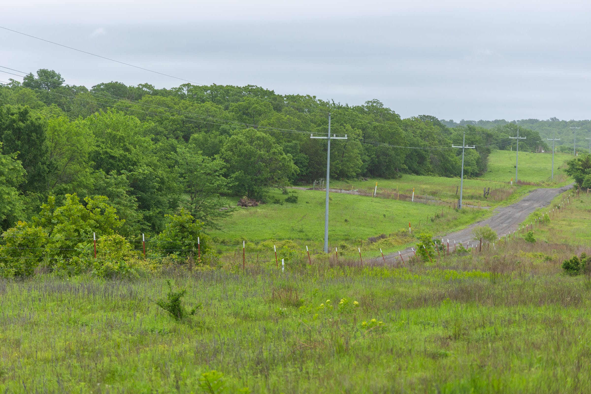 Harmony Hills Tract 8 photo 4