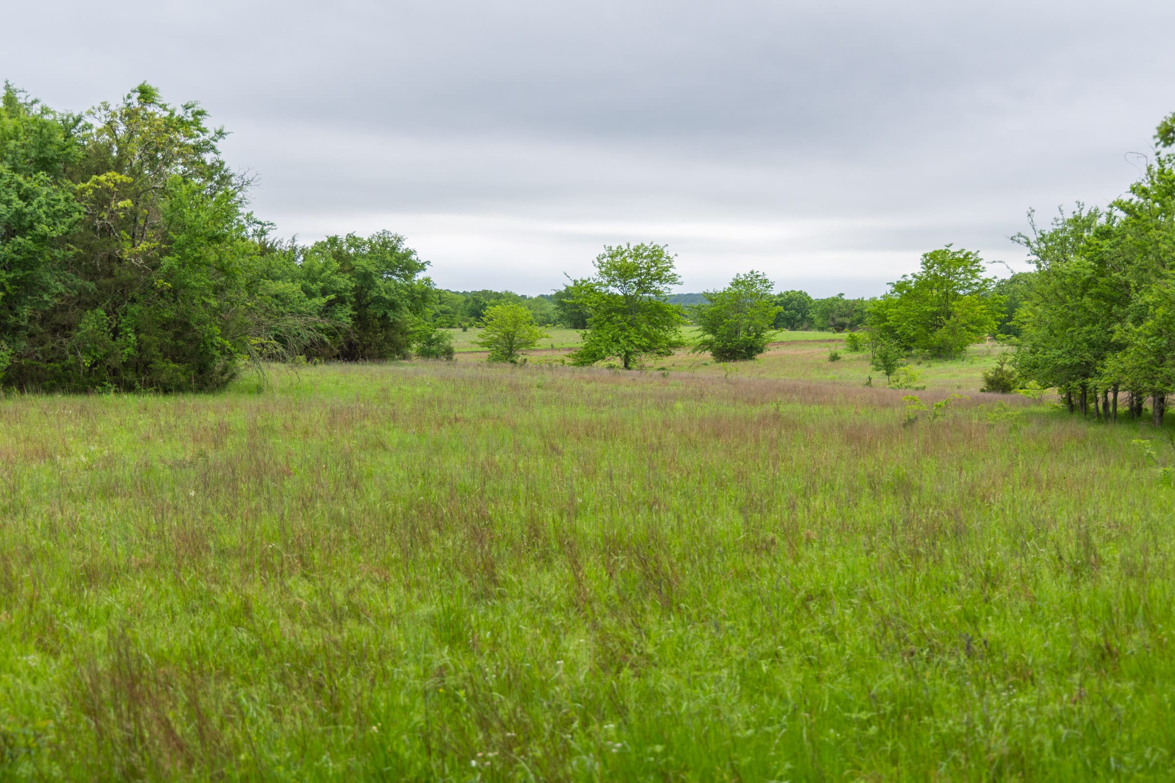 Harmony Hills Tract 8 photo 8