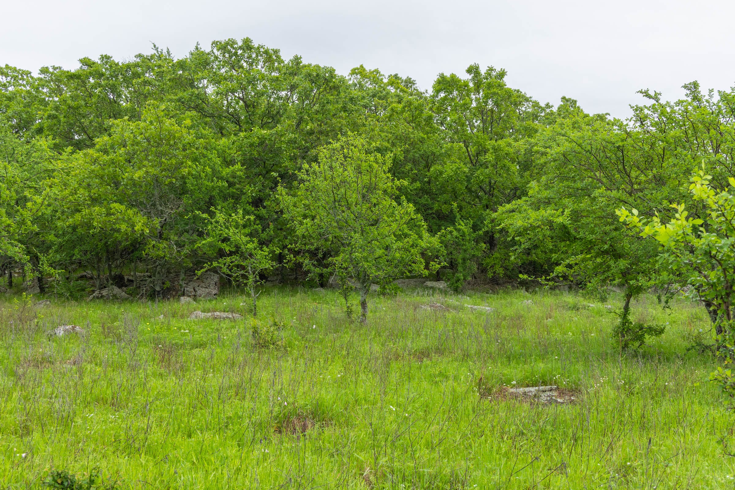 Harmony Hills Tract 8 photo 16