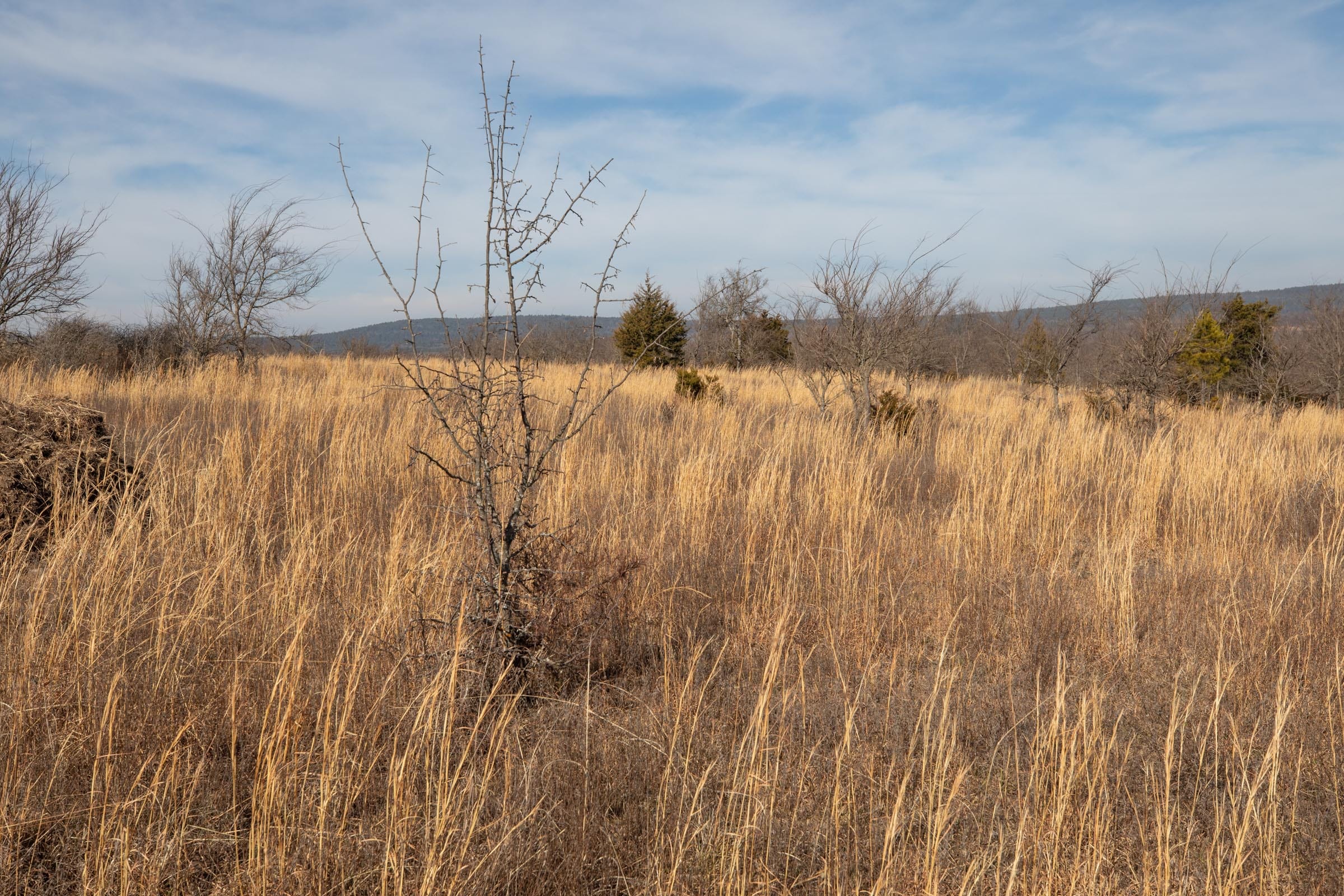 Painted Horse Tract 20 photo 3