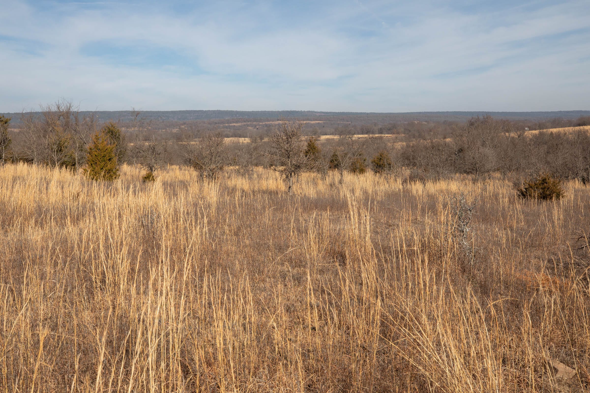 Painted Horse Tract 20 photo 4