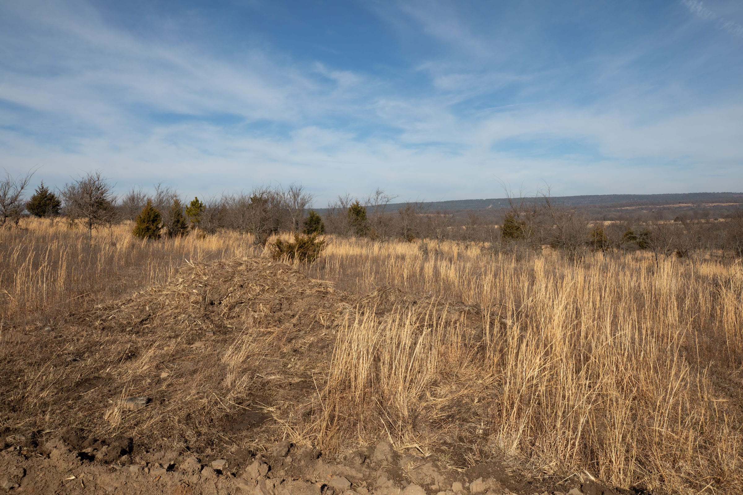 Painted Horse Tract 20 photo 5