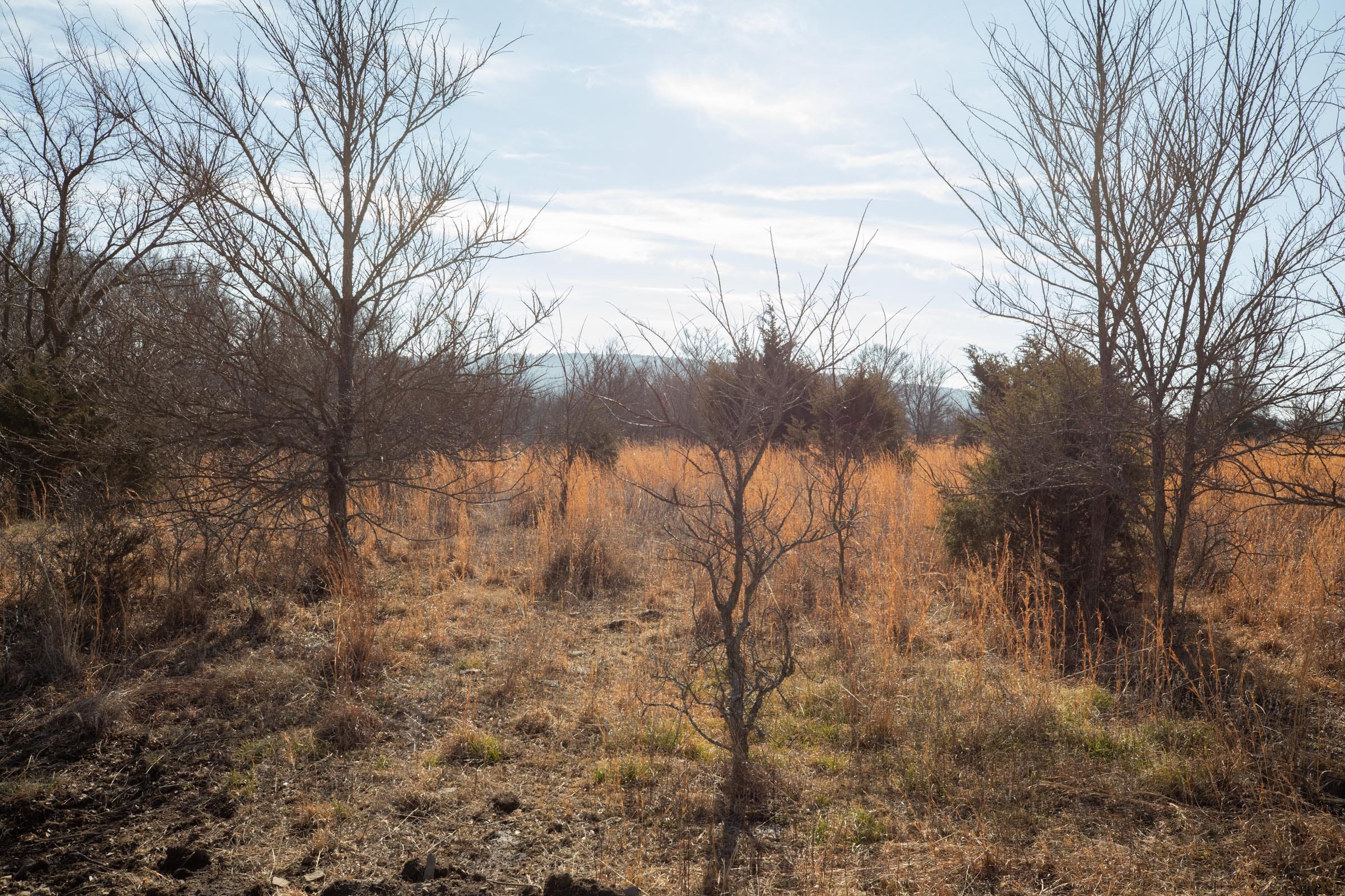 Painted Horse Tract 20 photo 6