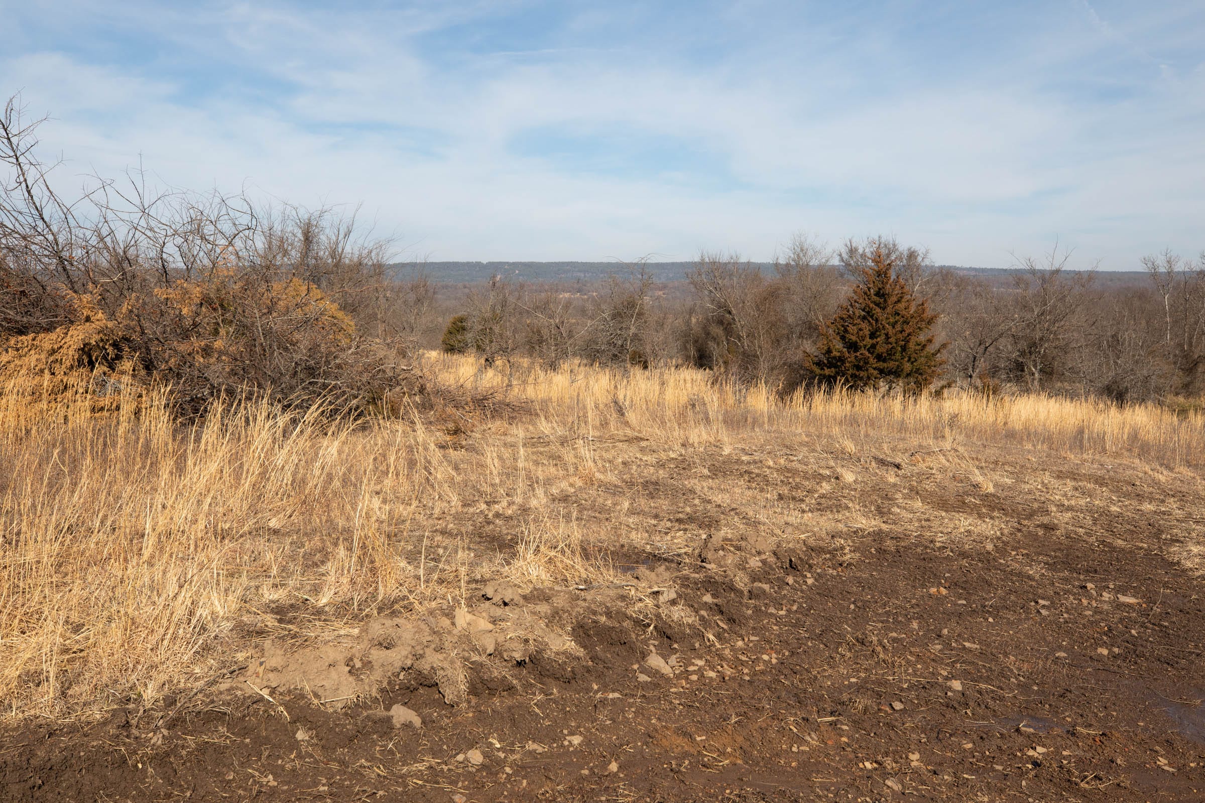 Painted Horse Tract 20 photo 9