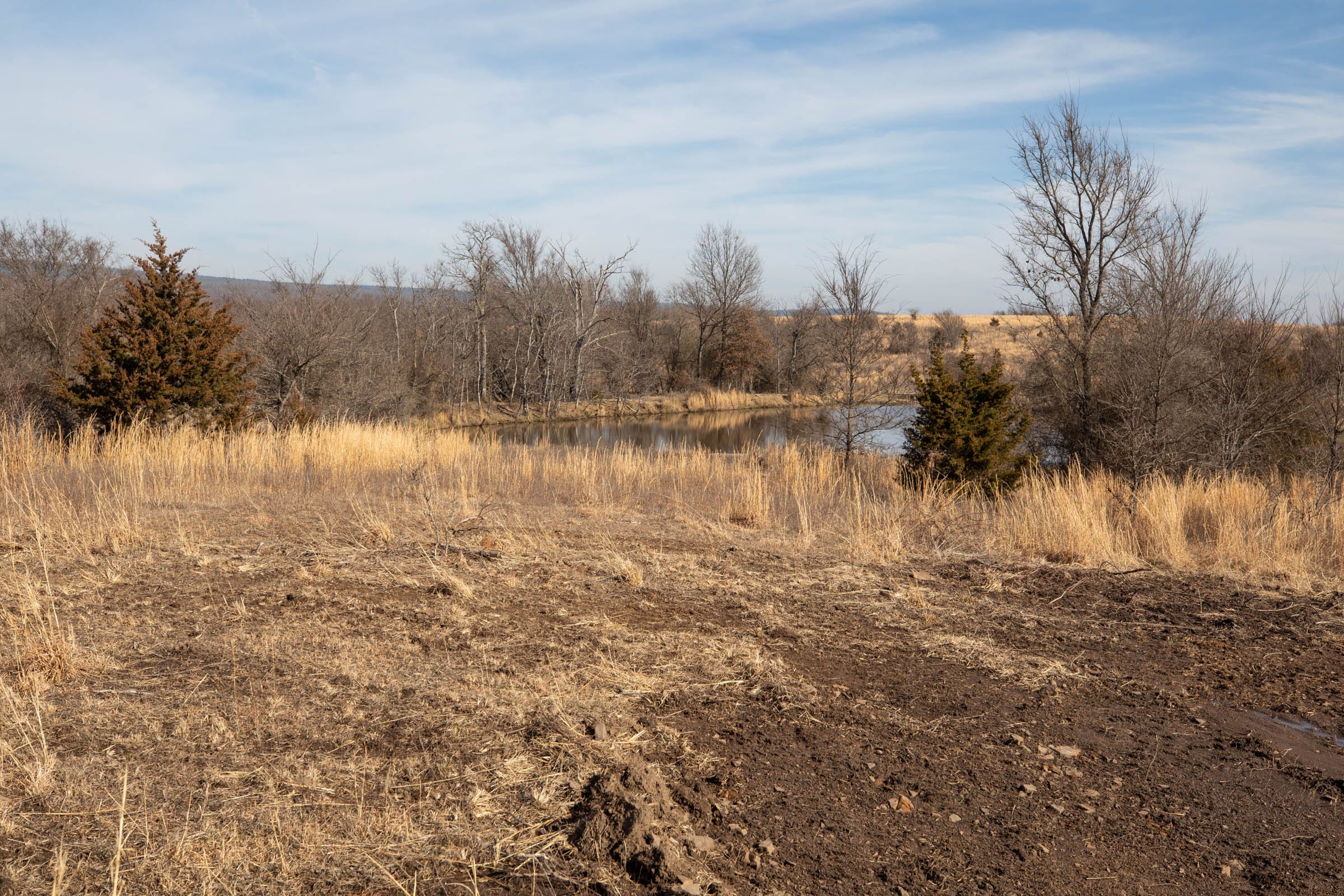 Painted Horse Tract 20 photo 1