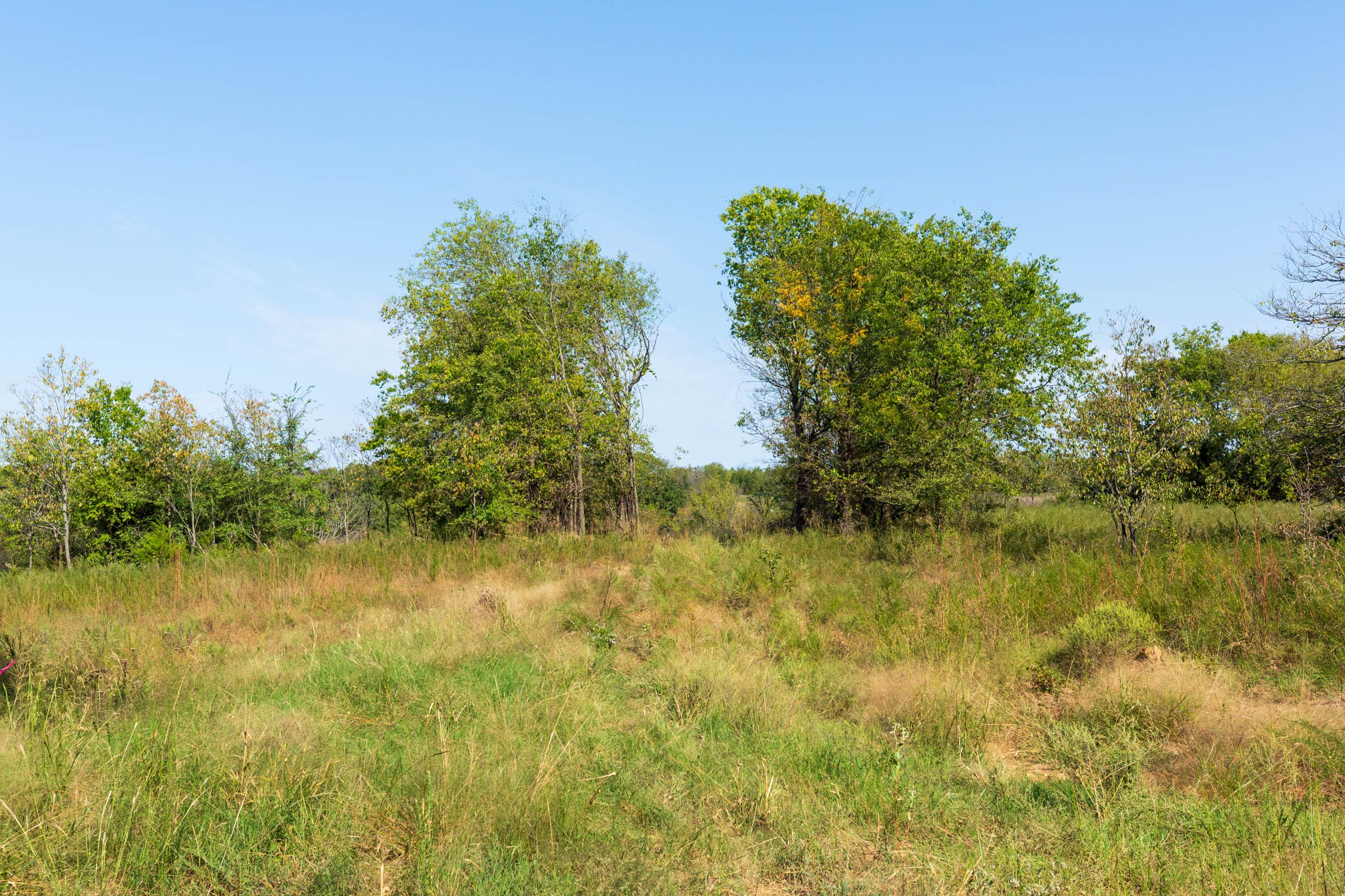 Canyon Creek Tract 15 photo 1